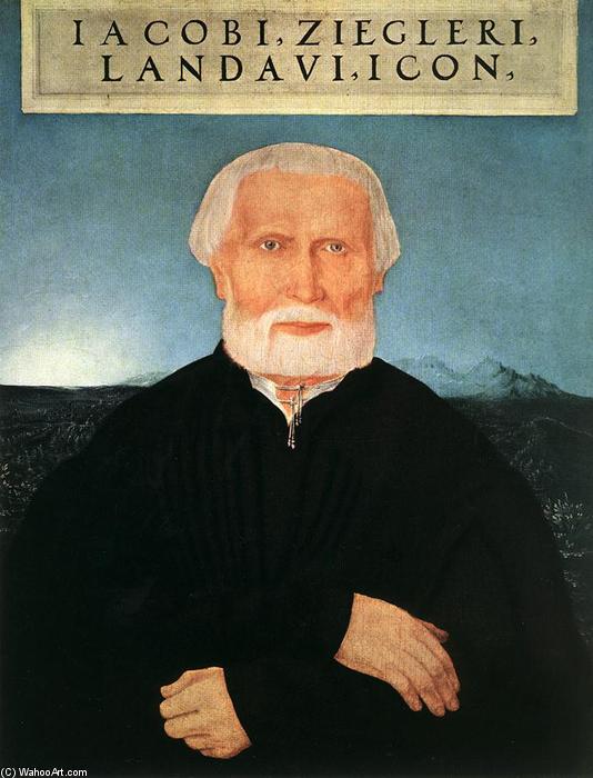 WikiOO.org - Güzel Sanatlar Ansiklopedisi - Resim, Resimler Wolf Huber - Portrait of Jacob Ziegler