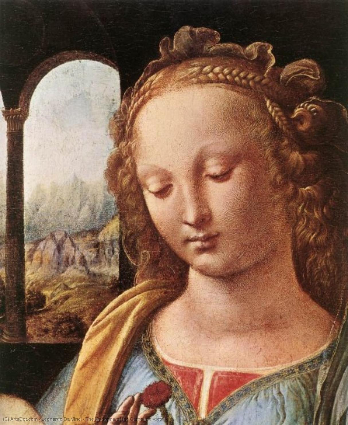 Wikioo.org – L'Encyclopédie des Beaux Arts - Peinture, Oeuvre de Leonardo Da Vinci - la madone de  au  Œillet  détail