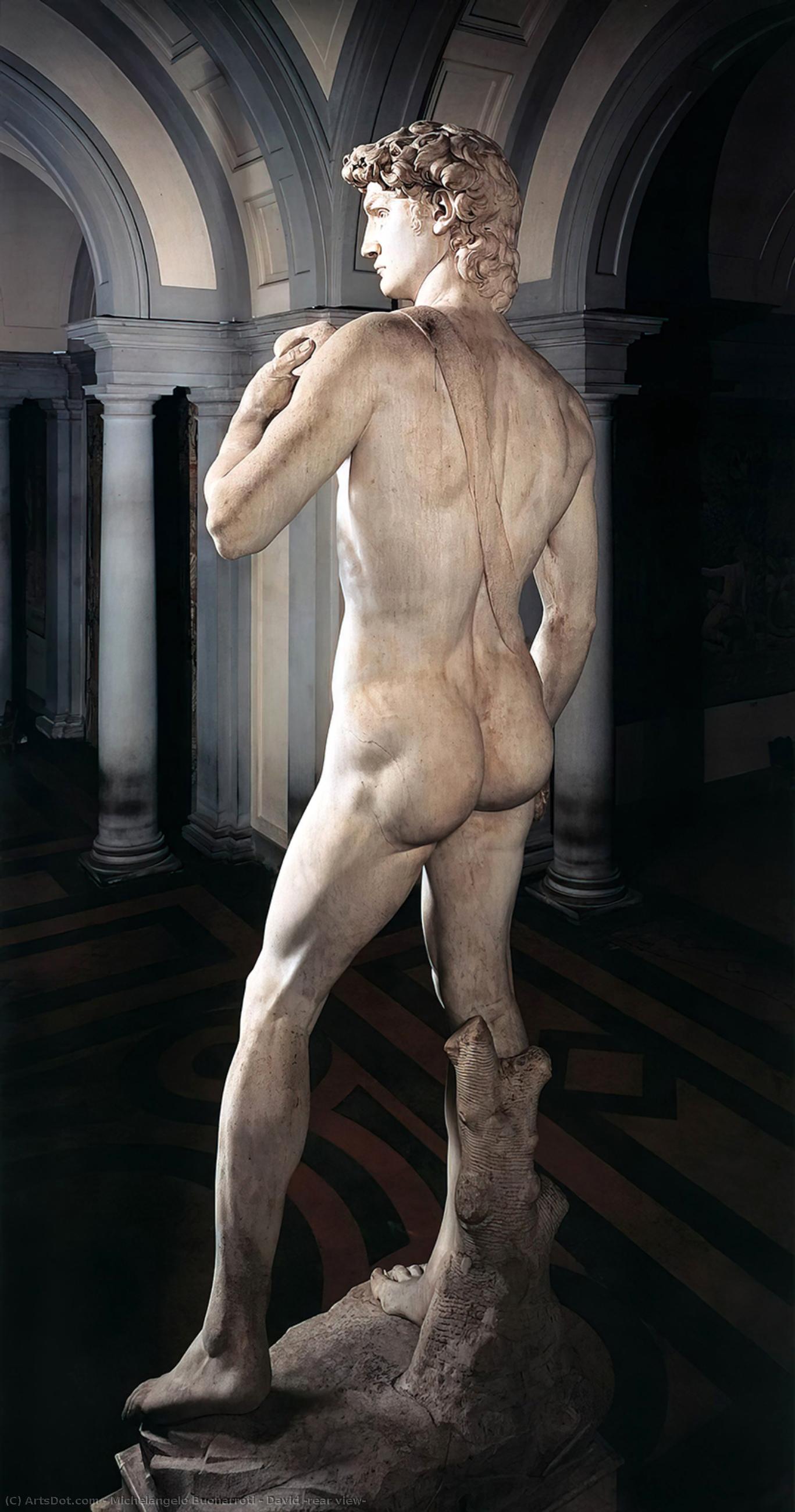 Wikioo.org – La Enciclopedia de las Bellas Artes - Pintura, Obras de arte de Michelangelo Buonarroti - David ( vista posterior )