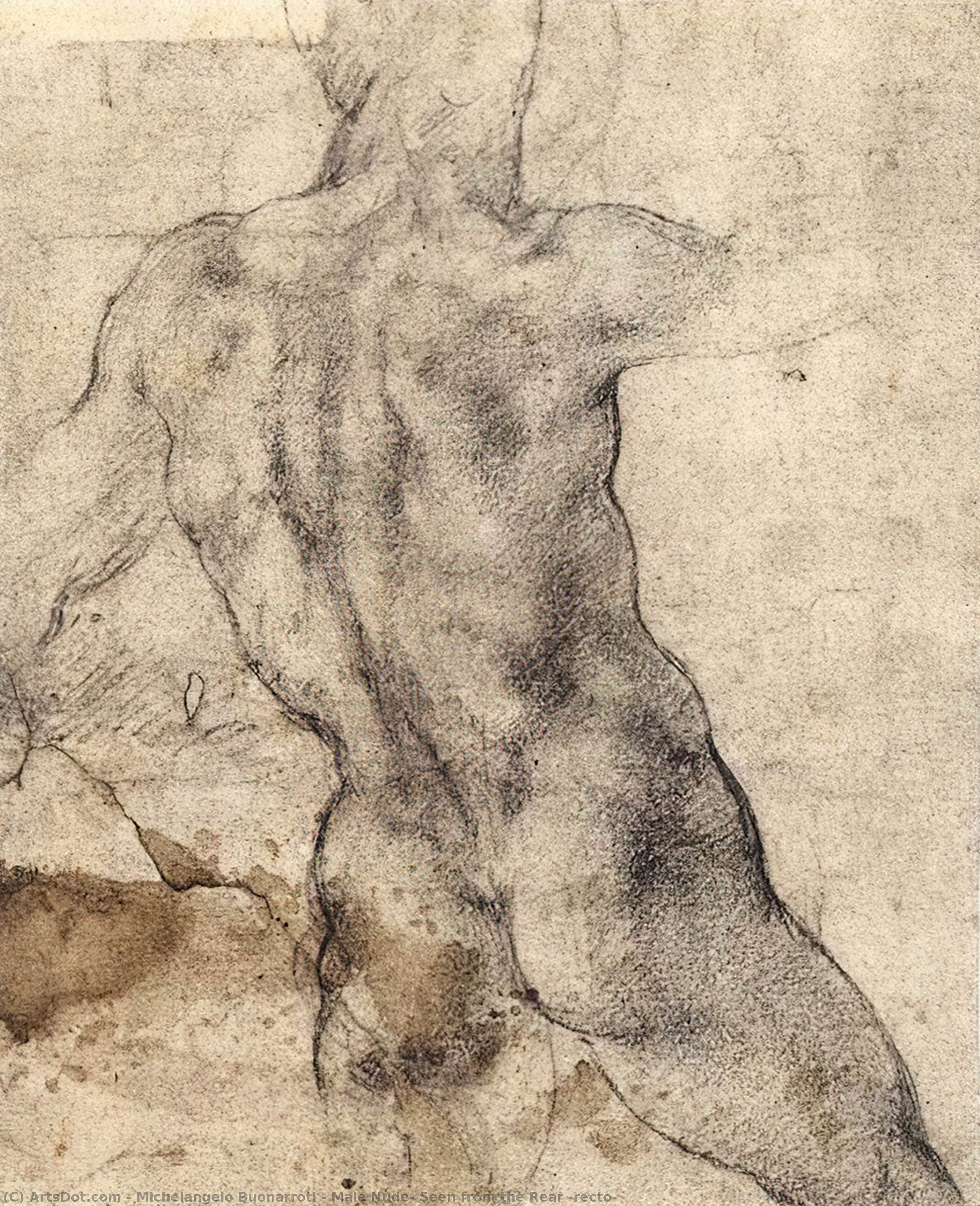 Wikioo.org - The Encyclopedia of Fine Arts - Painting, Artwork by Michelangelo Buonarroti - Male Nude, Seen from the Rear (recto)