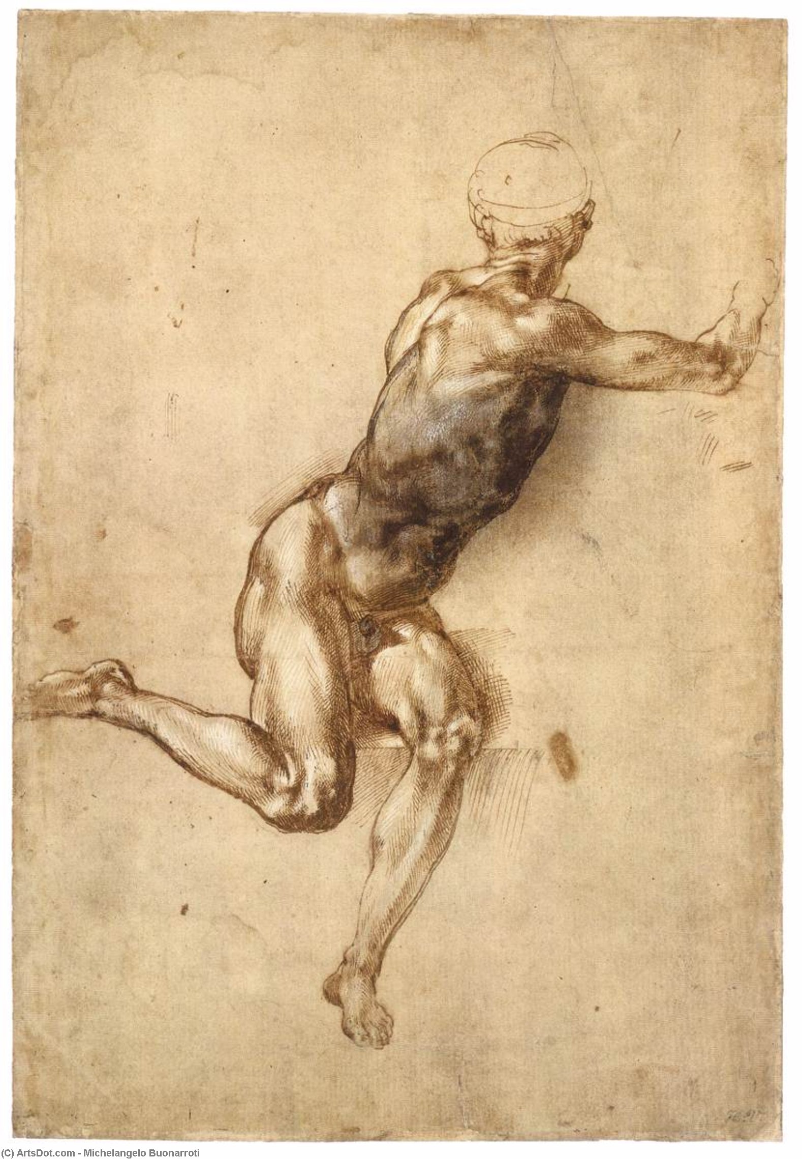 WikiOO.org - Encyclopedia of Fine Arts - Lukisan, Artwork Michelangelo Buonarroti - Sitting Male Nude (recto)