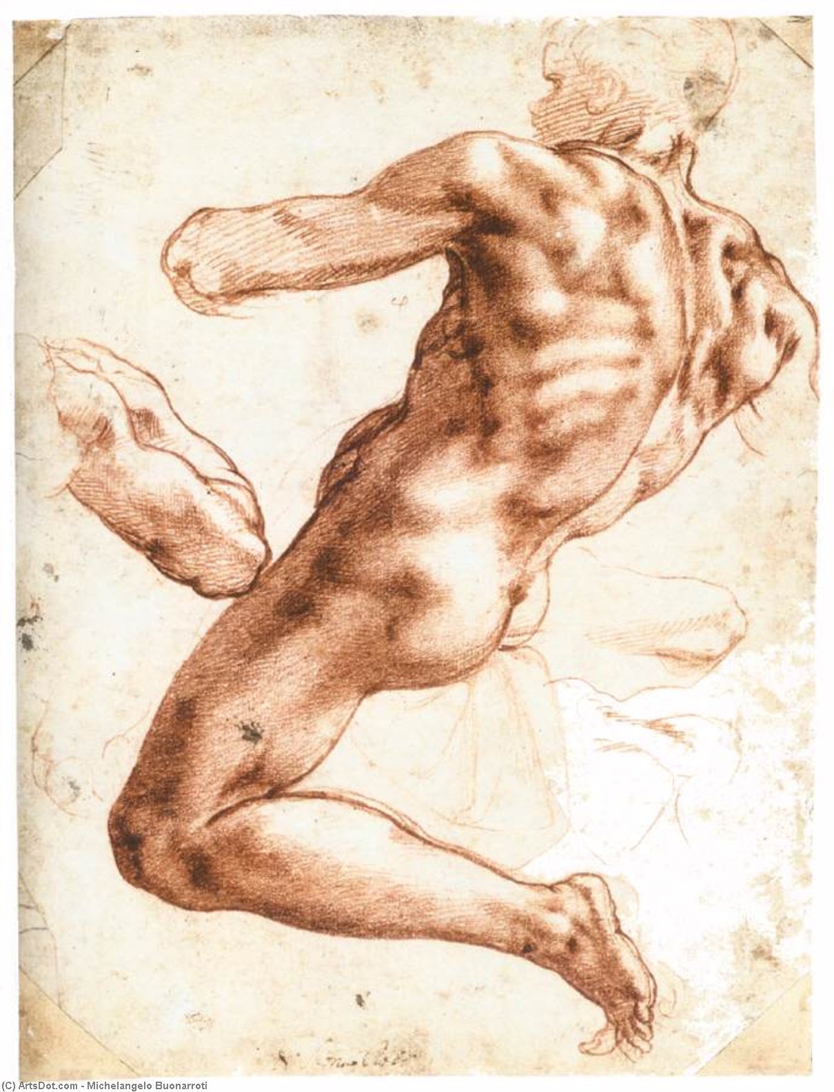 Wikioo.org - The Encyclopedia of Fine Arts - Painting, Artwork by Michelangelo Buonarroti - Sitting Male Nude (recto)