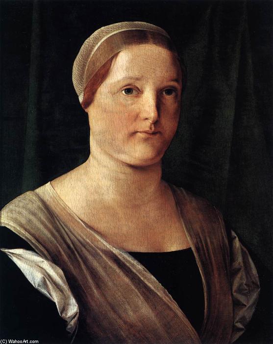 Wikioo.org - The Encyclopedia of Fine Arts - Painting, Artwork by Lorenzo Lotto - Portrait of a Lady