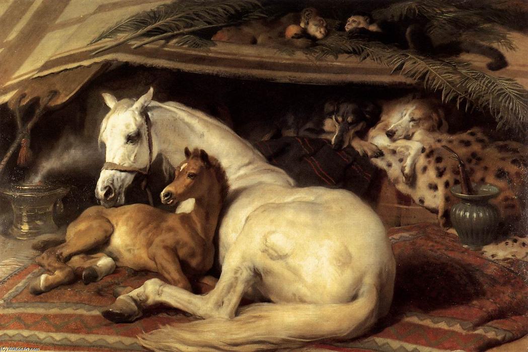 Wikioo.org - The Encyclopedia of Fine Arts - Painting, Artwork by Edwin Henry Landseer - The Arab Tent