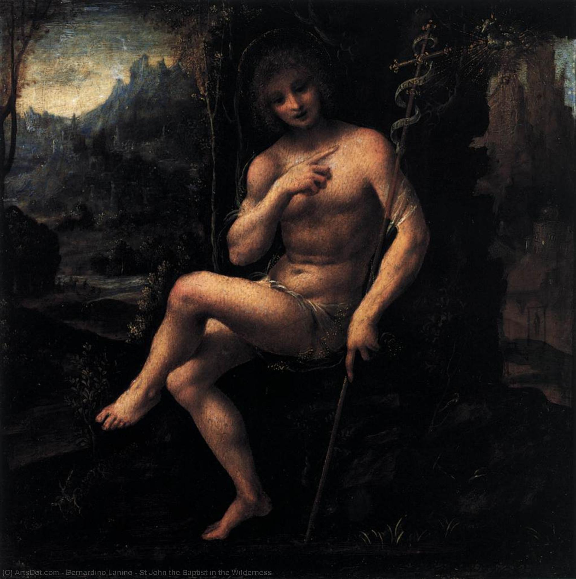 Wikioo.org - The Encyclopedia of Fine Arts - Painting, Artwork by Bernardino Lanino - St John the Baptist in the Wilderness