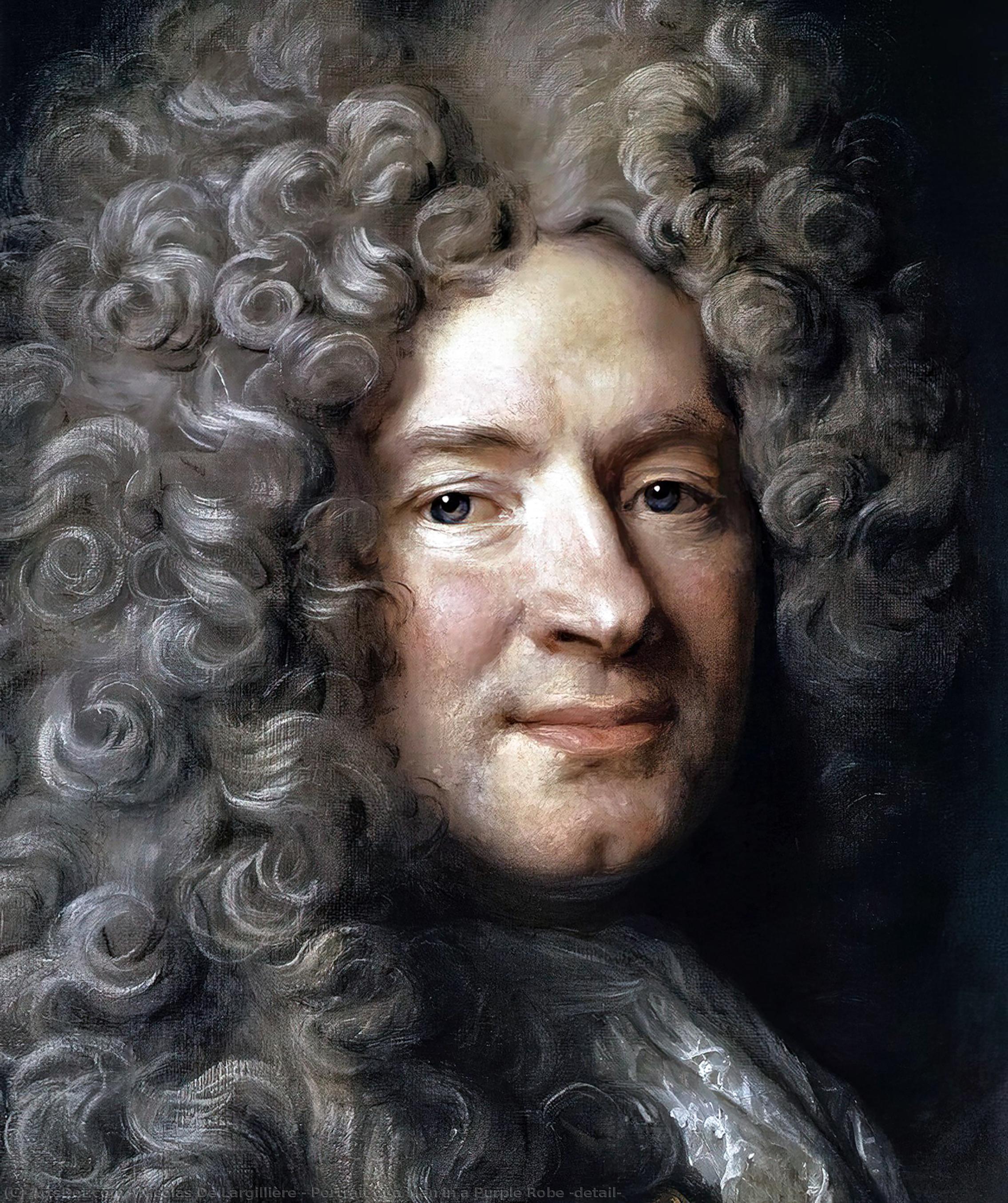 Wikioo.org - The Encyclopedia of Fine Arts - Painting, Artwork by Nicolas De Largillière - Portrait of a Man in a Purple Robe (detail)