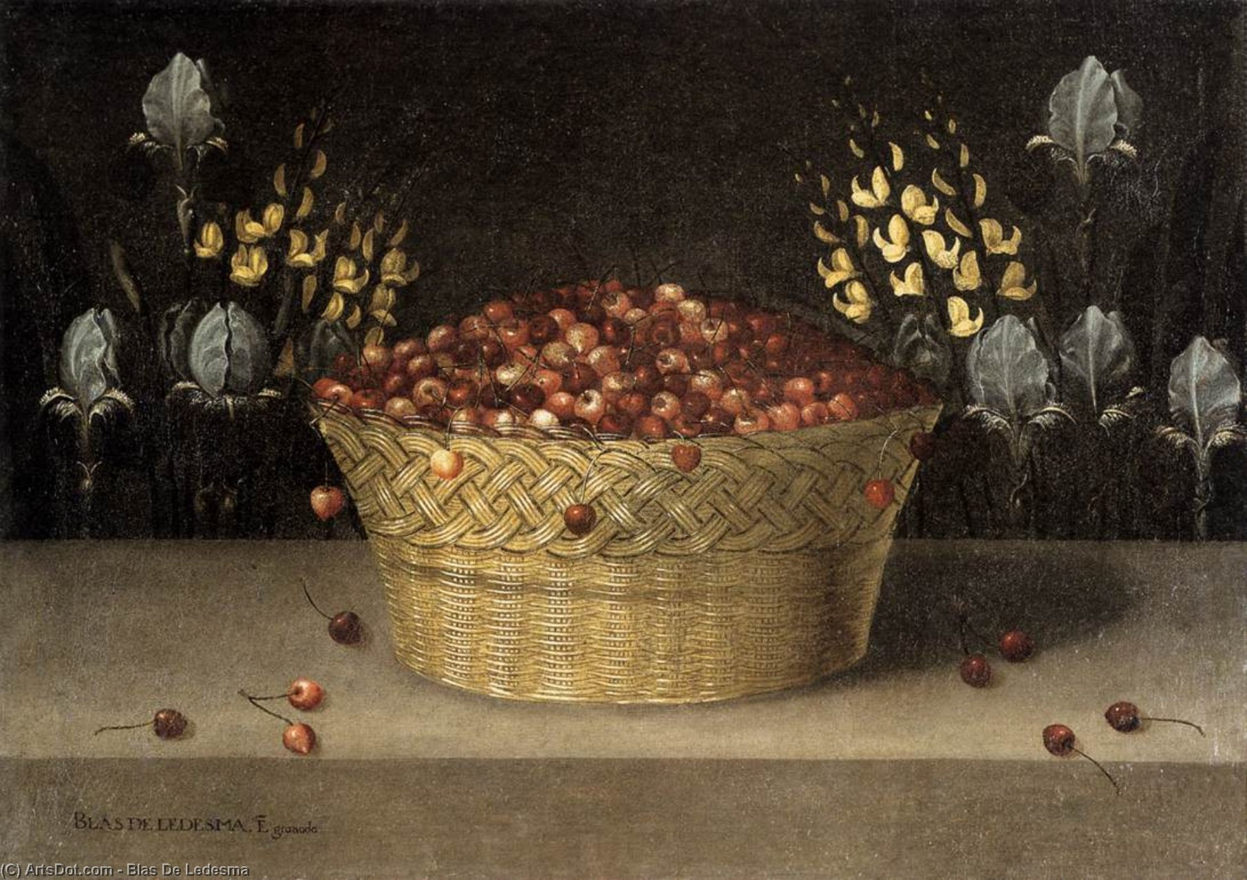 Wikioo.org - The Encyclopedia of Fine Arts - Painting, Artwork by Blas De Ledesma - Basket of Cherries and Flowers