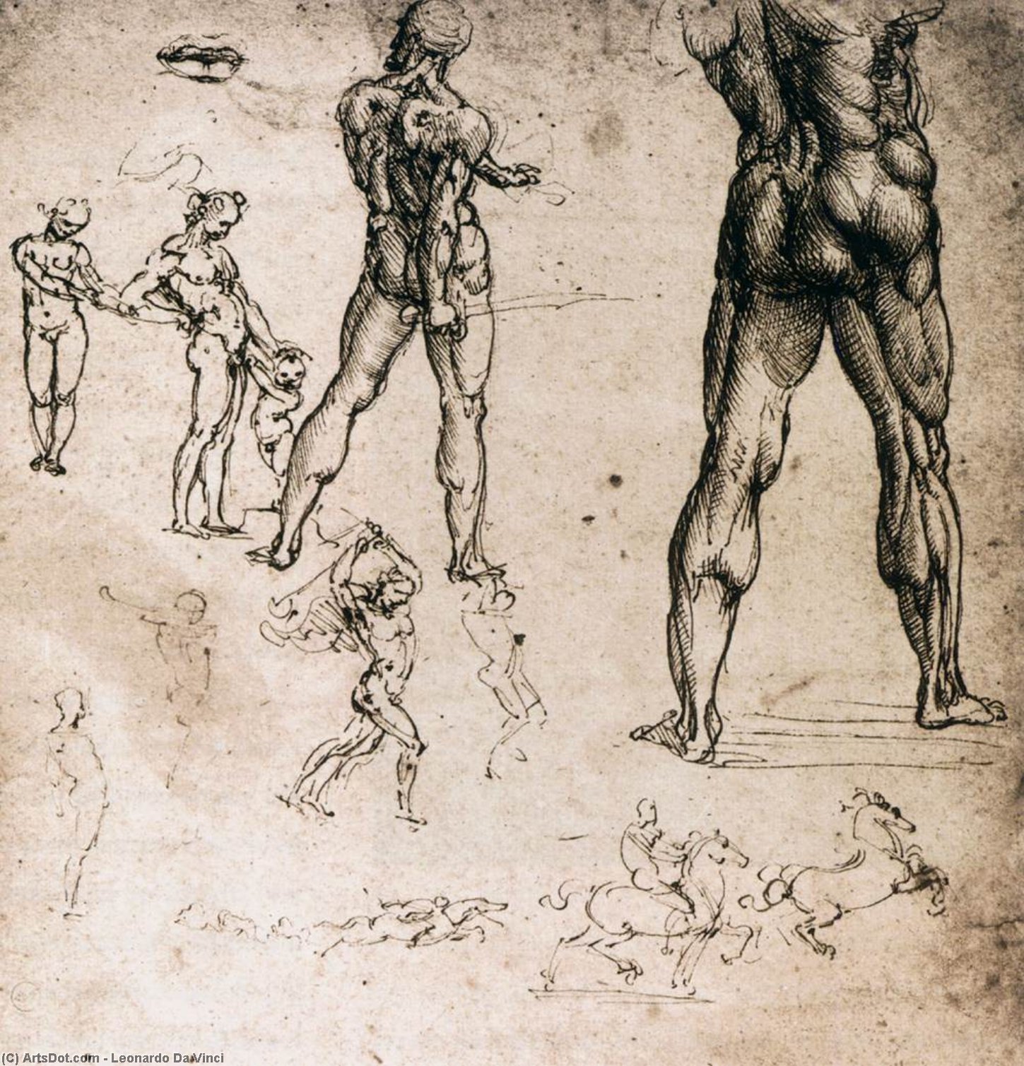 WikiOO.org - Encyclopedia of Fine Arts - Malba, Artwork Leonardo Da Vinci - Figure studies