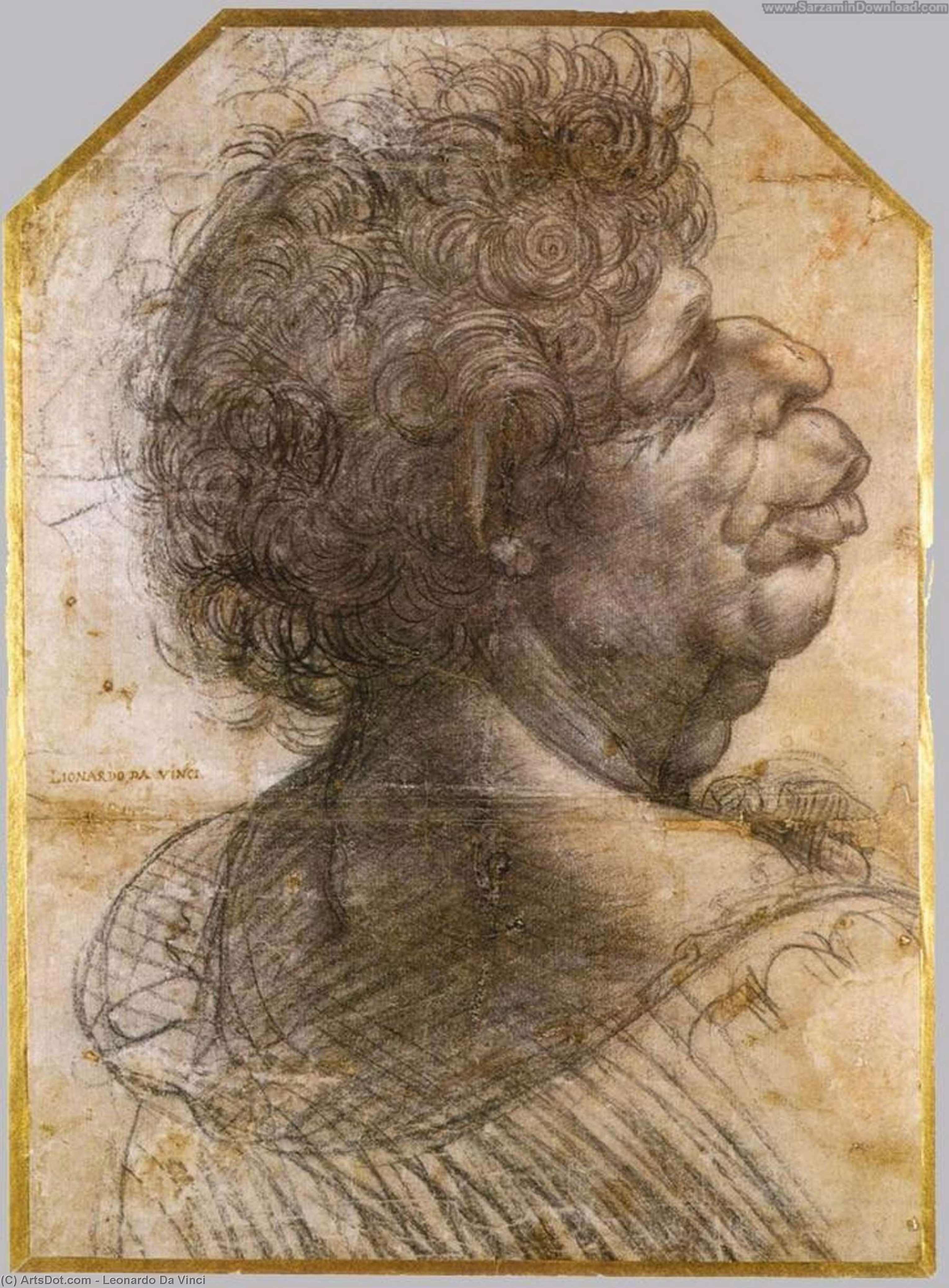 Wikioo.org - The Encyclopedia of Fine Arts - Painting, Artwork by Leonardo Da Vinci - Grotesque head