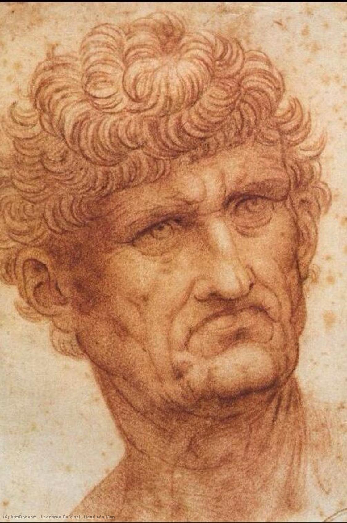 WikiOO.org - Encyclopedia of Fine Arts - Maleri, Artwork Leonardo Da Vinci - Head of a Man
