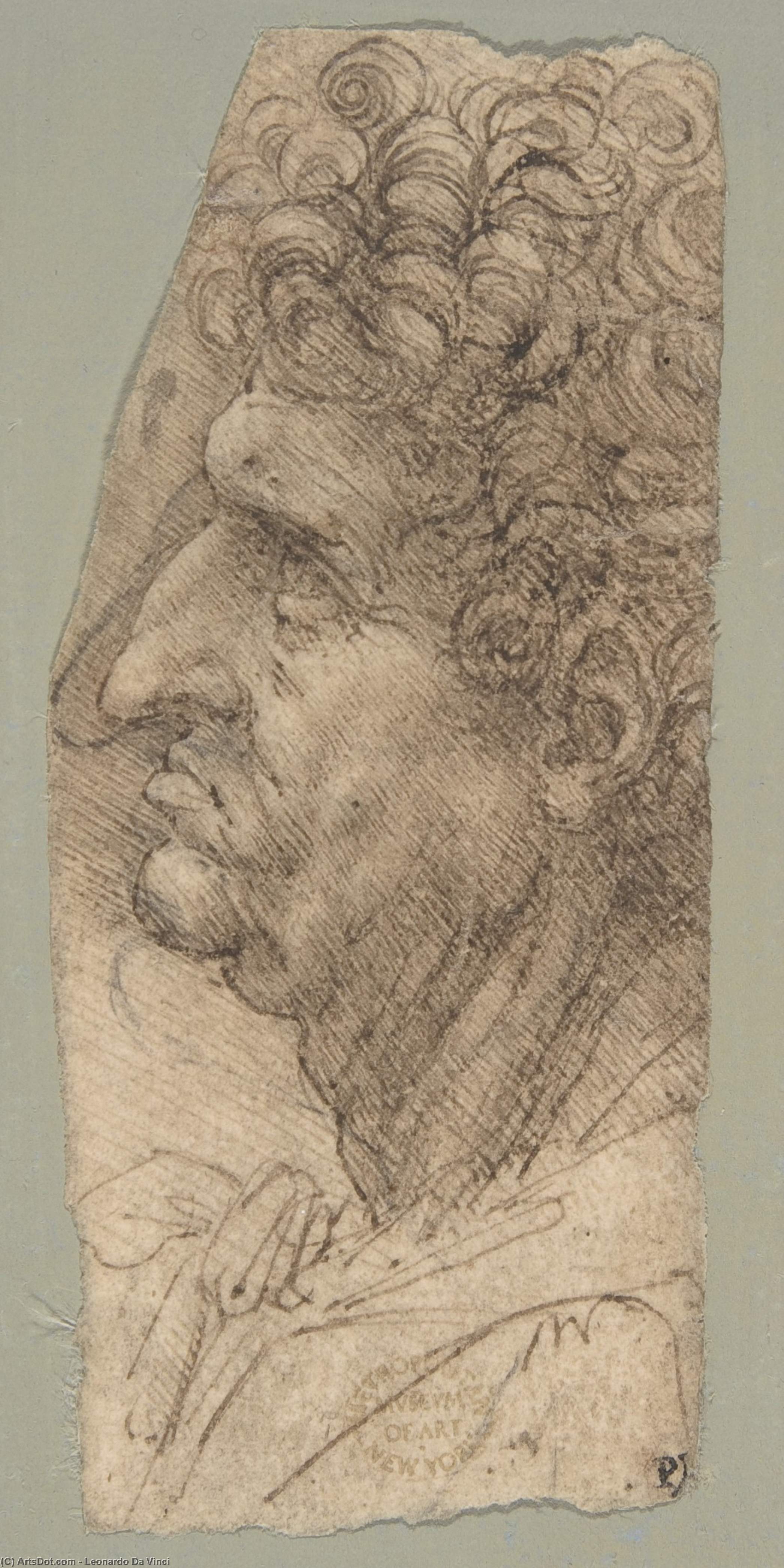 Wikioo.org – L'Enciclopedia delle Belle Arti - Pittura, Opere di Leonardo Da Vinci - testa di un uomo di fronte  per  Antartico  sinistro