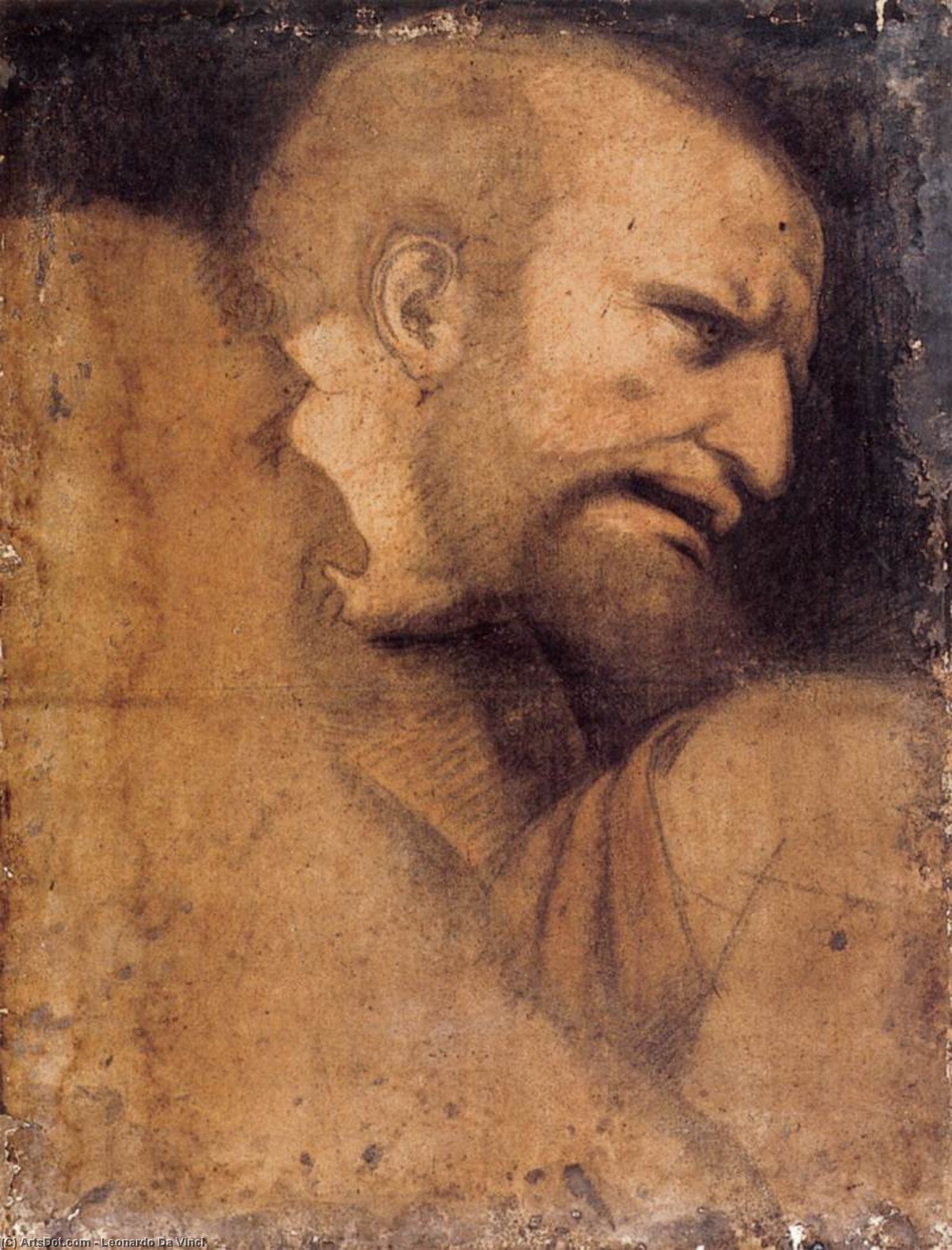 WikiOO.org - Enciklopedija likovnih umjetnosti - Slikarstvo, umjetnička djela Leonardo Da Vinci - Head of St John the Evangelist