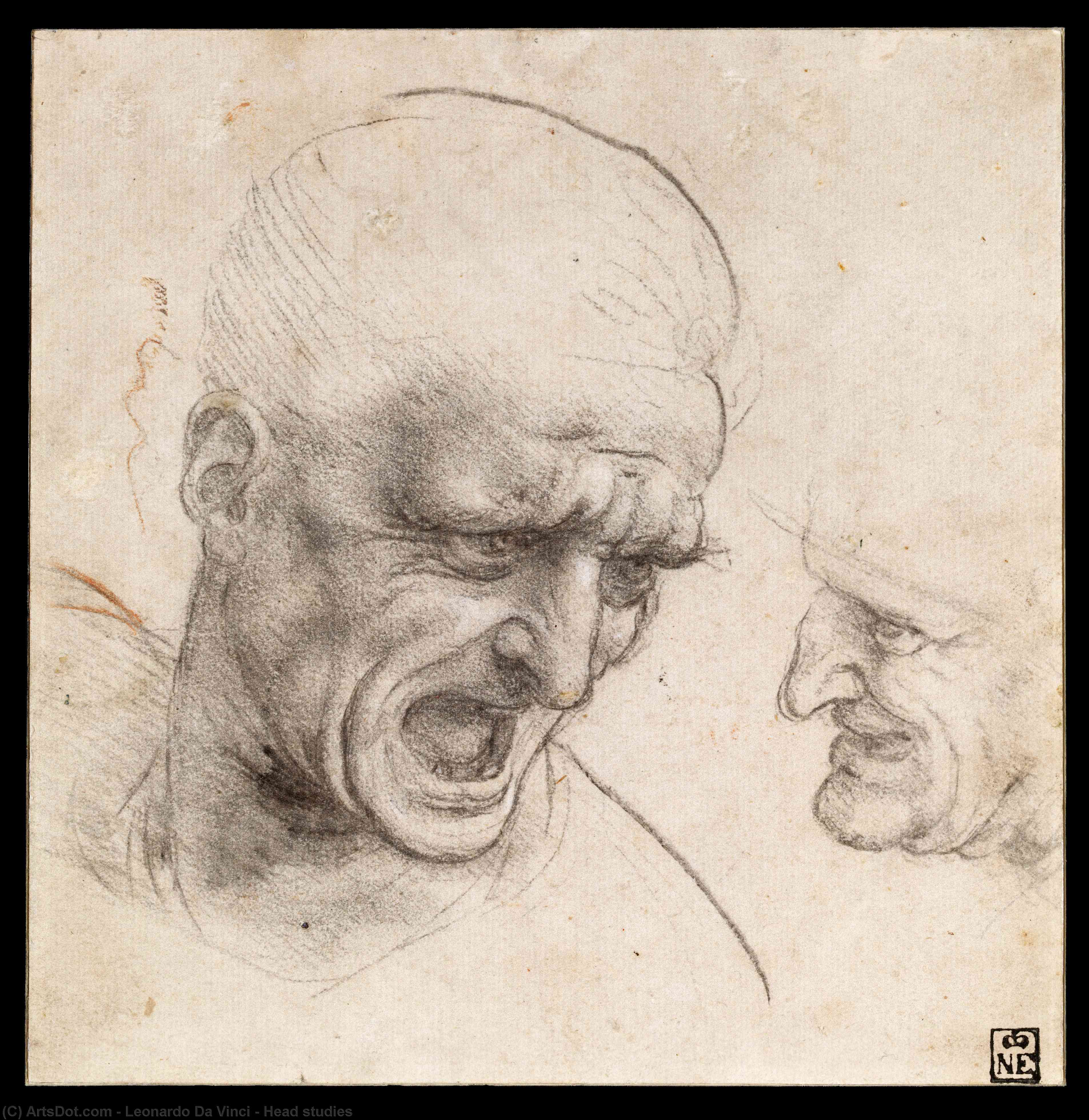 Wikioo.org - สารานุกรมวิจิตรศิลป์ - จิตรกรรม Leonardo Da Vinci - Head studies