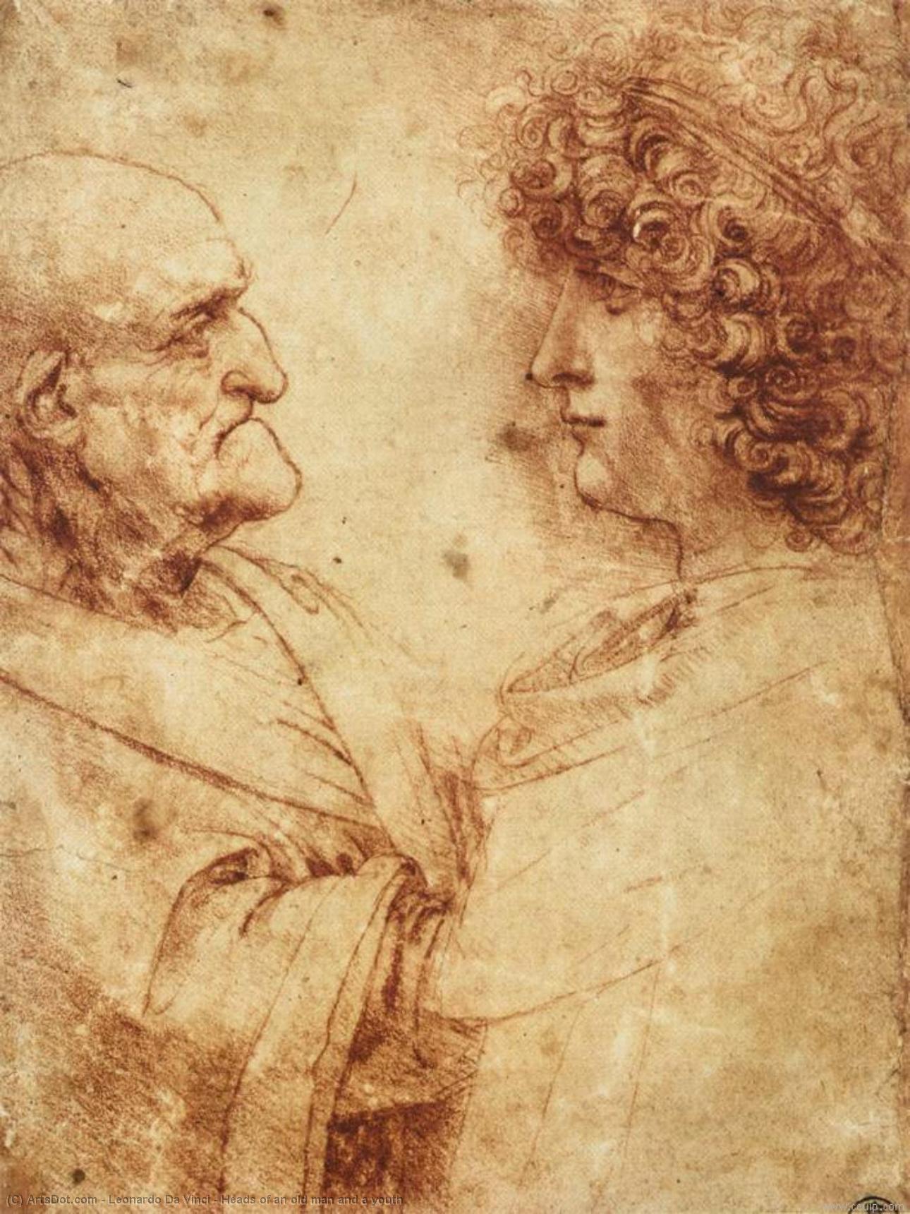WikiOO.org - Güzel Sanatlar Ansiklopedisi - Resim, Resimler Leonardo Da Vinci - Heads of an old man and a youth