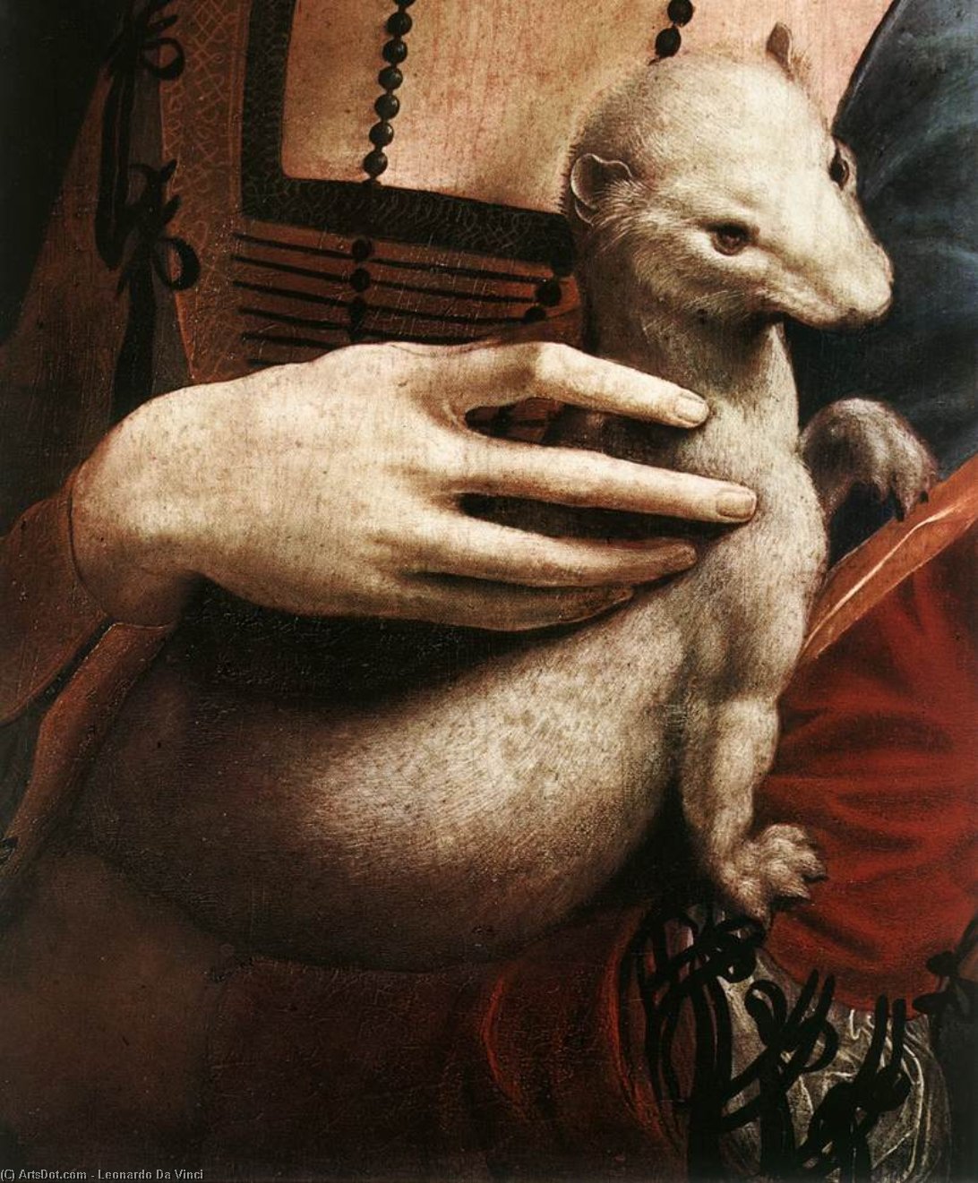 Wikioo.org - The Encyclopedia of Fine Arts - Painting, Artwork by Leonardo Da Vinci - Portrait of Cecilia Gallerani (detail)