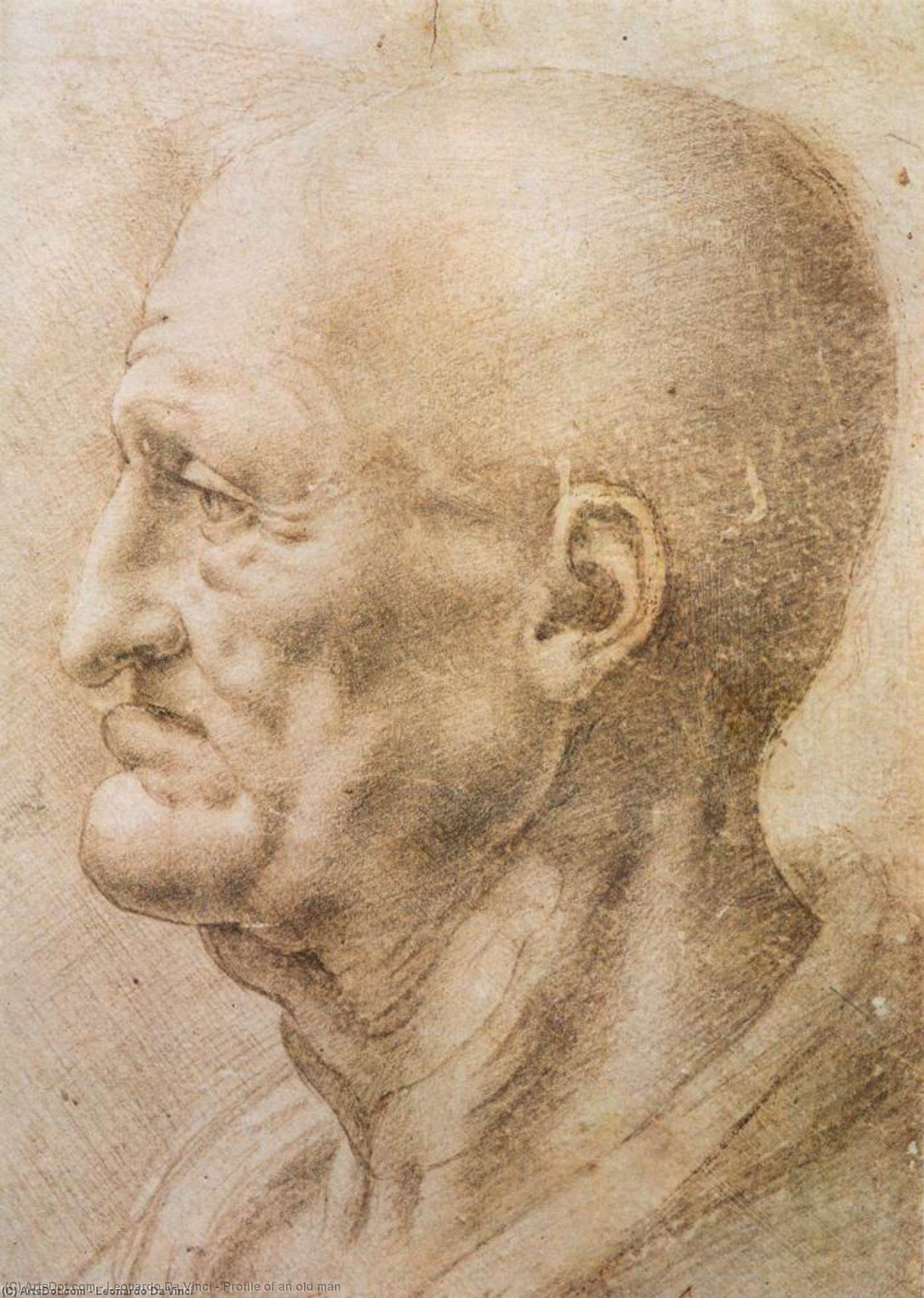 Wikioo.org – La Enciclopedia de las Bellas Artes - Pintura, Obras de arte de Leonardo Da Vinci - Perfil de un  anciano  El hombre