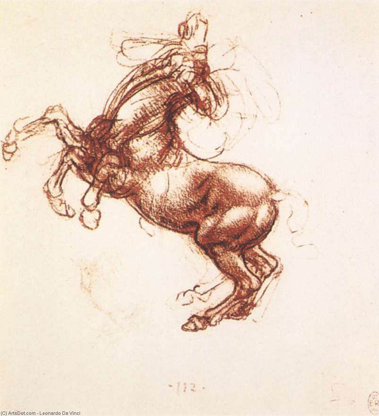 Wikioo.org - The Encyclopedia of Fine Arts - Painting, Artwork by Leonardo Da Vinci - Rearing horse