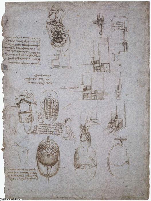 Wikioo.org - The Encyclopedia of Fine Arts - Painting, Artwork by Leonardo Da Vinci - Studies of the Villa Melzi and anatomical study
