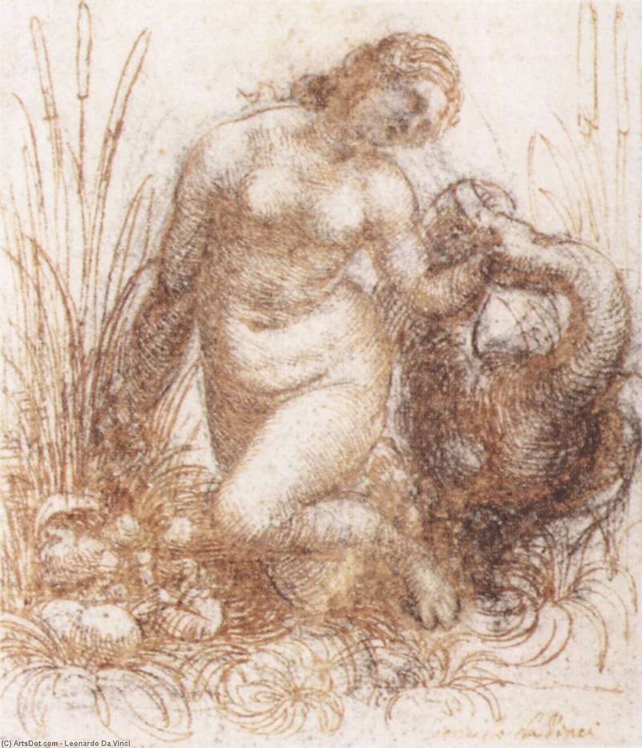 WikiOO.org – 美術百科全書 - 繪畫，作品 Leonardo Da Vinci - 学习的 跪  勒达