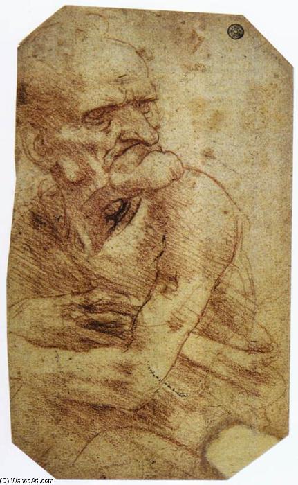Wikioo.org – La Enciclopedia de las Bellas Artes - Pintura, Obras de arte de Leonardo Da Vinci - estudio de una anciano
