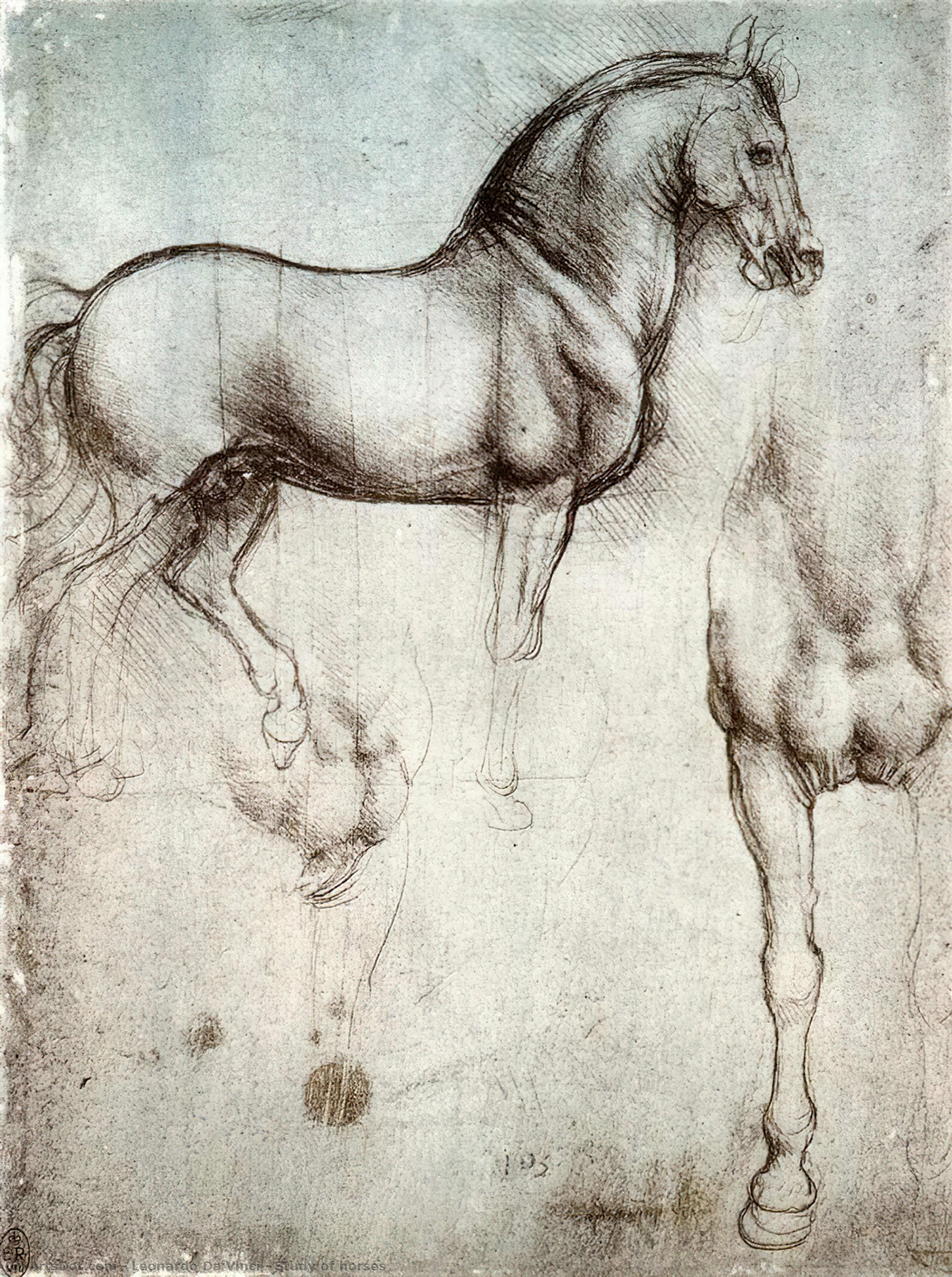 Wikioo.org - Bách khoa toàn thư về mỹ thuật - Vẽ tranh, Tác phẩm nghệ thuật Leonardo Da Vinci - Study of horses