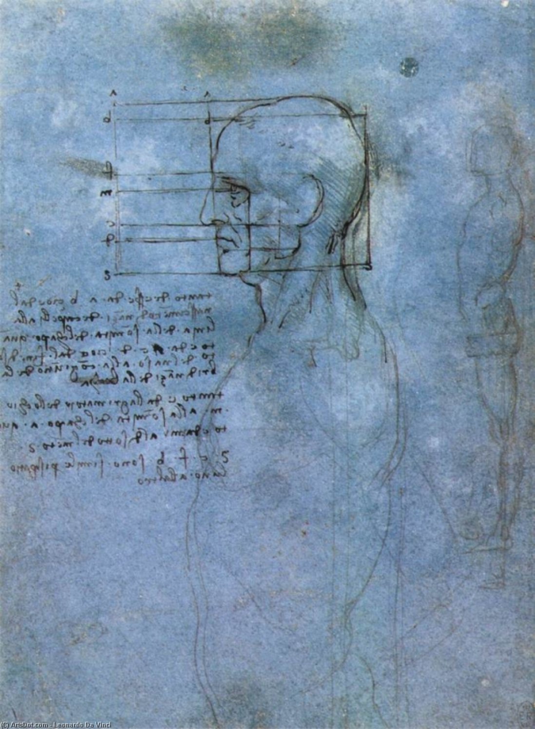 Wikioo.org - สารานุกรมวิจิตรศิลป์ - จิตรกรรม Leonardo Da Vinci - Study of proportion
