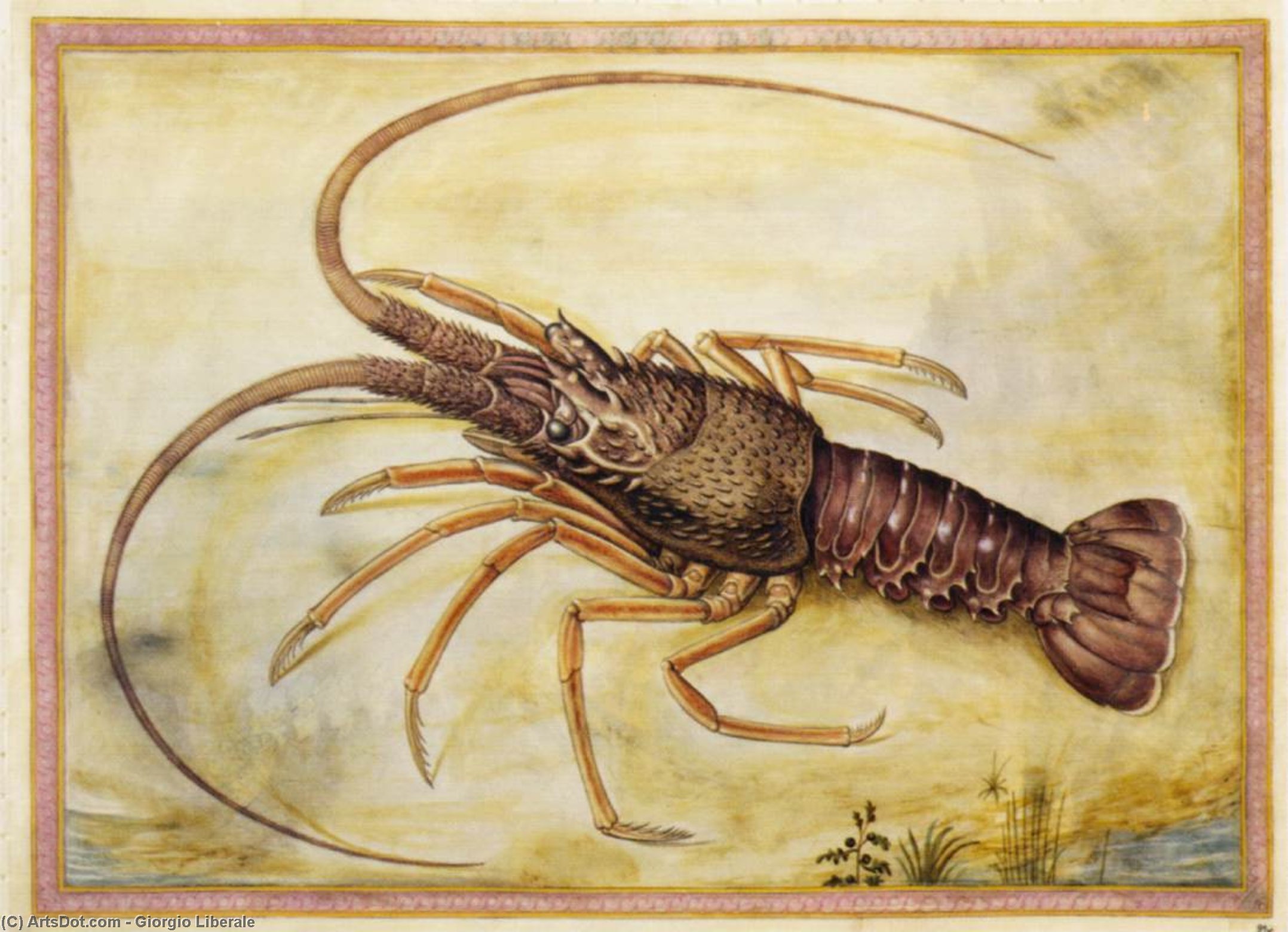 WikiOO.org - Encyclopedia of Fine Arts - Maľba, Artwork Giorgio Liberale - Mediterranean lobster