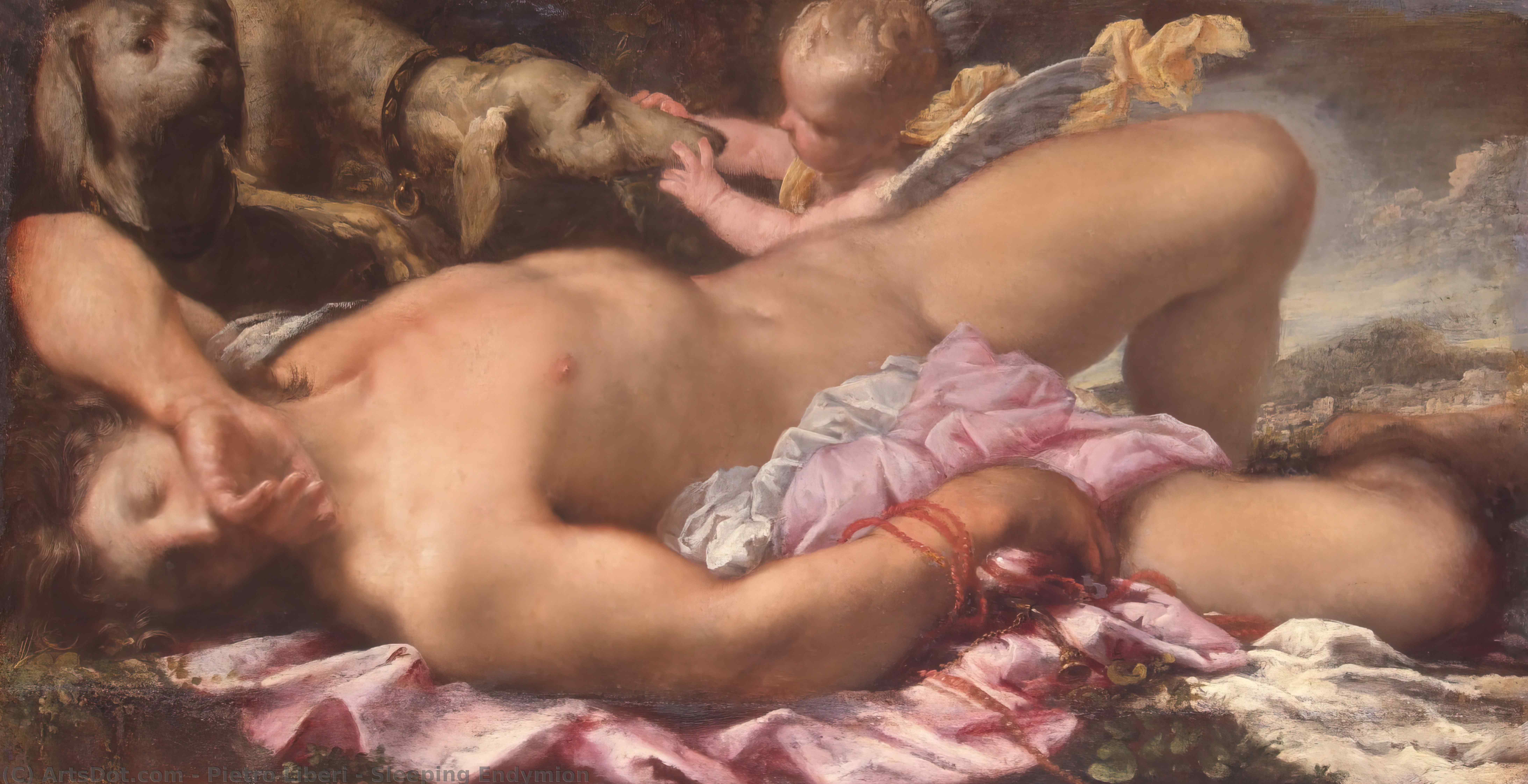 Wikioo.org - Bách khoa toàn thư về mỹ thuật - Vẽ tranh, Tác phẩm nghệ thuật Pietro Liberi - Sleeping Endymion