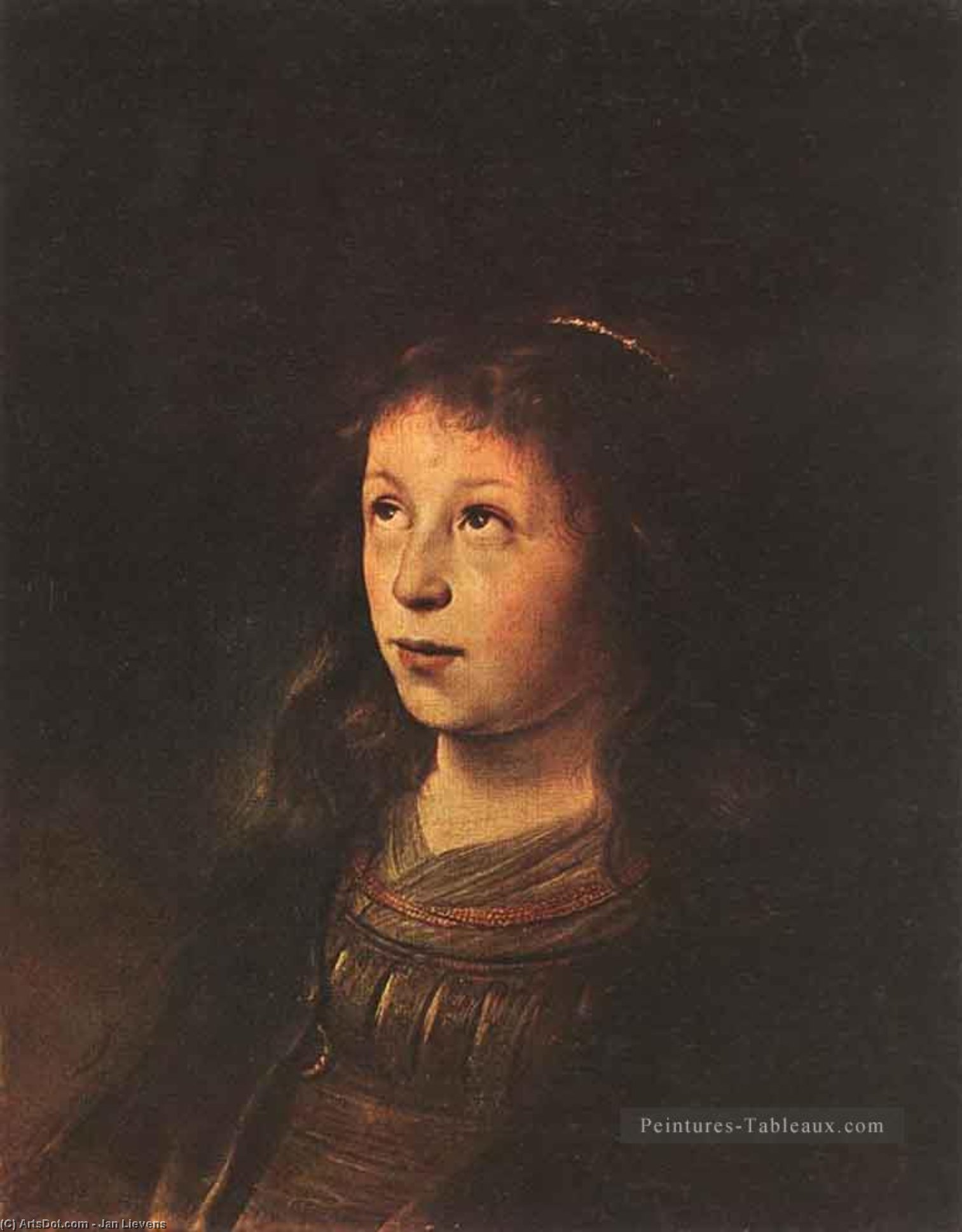Wikioo.org - The Encyclopedia of Fine Arts - Painting, Artwork by Jan Andrea Lievens - Portrait of a Girl