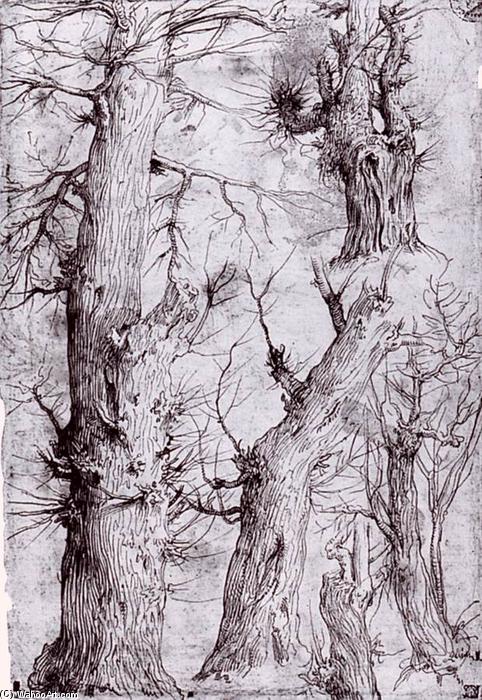 Wikioo.org – L'Encyclopédie des Beaux Arts - Peinture, Oeuvre de Aurelio Luini - des études des arbres