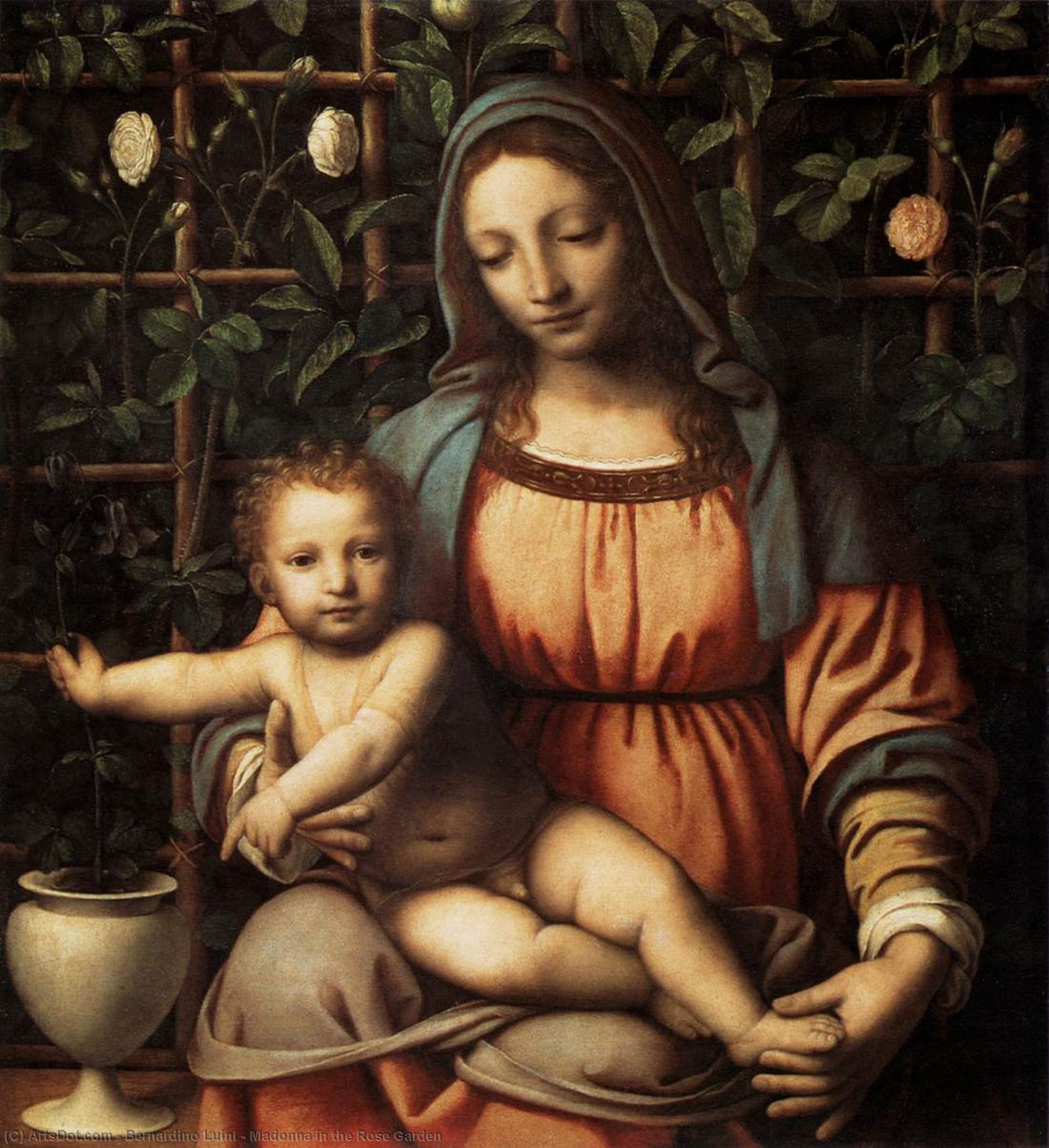 Wikioo.org - The Encyclopedia of Fine Arts - Painting, Artwork by Bernardino Luini - Madonna in the Rose Garden