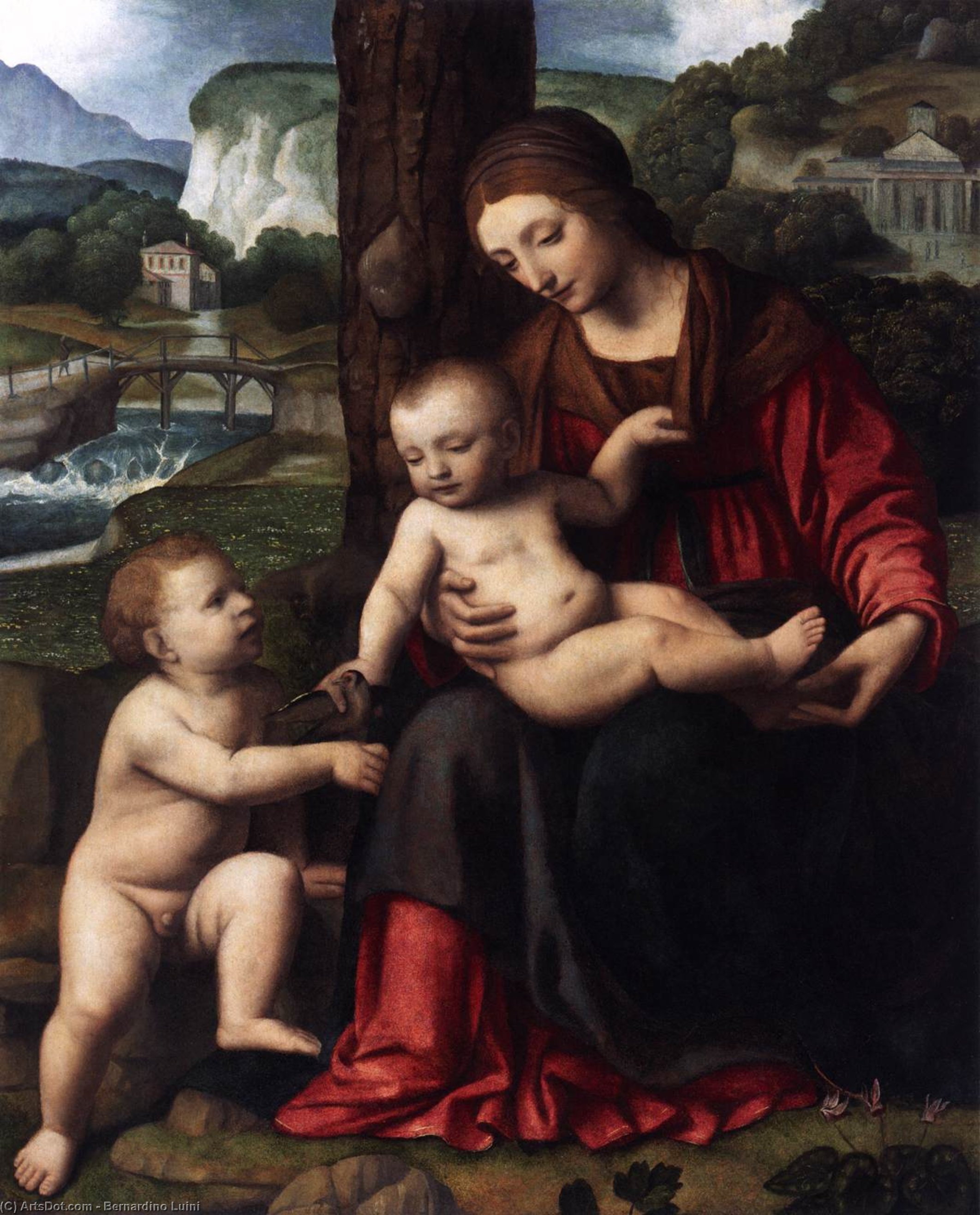 Wikioo.org - The Encyclopedia of Fine Arts - Painting, Artwork by Bernardino Luini - Madonna with Child and the Young St John