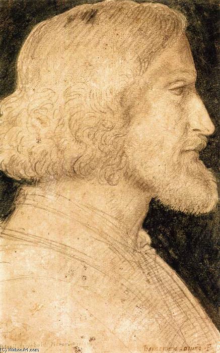 WikiOO.org - אנציקלופדיה לאמנויות יפות - ציור, יצירות אמנות Bernardino Luini - Portrait of Biagio Arcimboldo