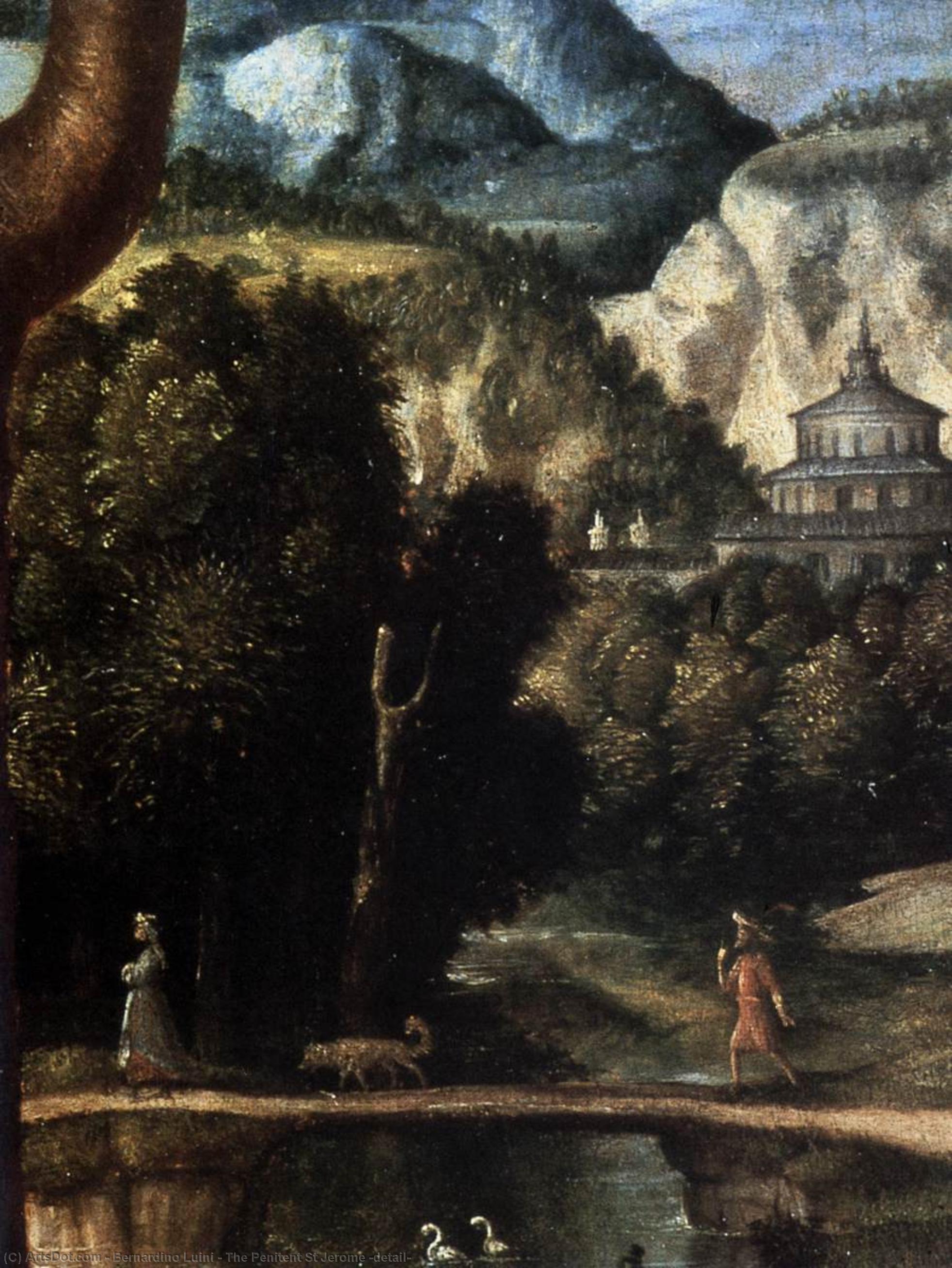 Wikioo.org – L'Enciclopedia delle Belle Arti - Pittura, Opere di Bernardino Luini - il penitente san girolamo ( particolare )