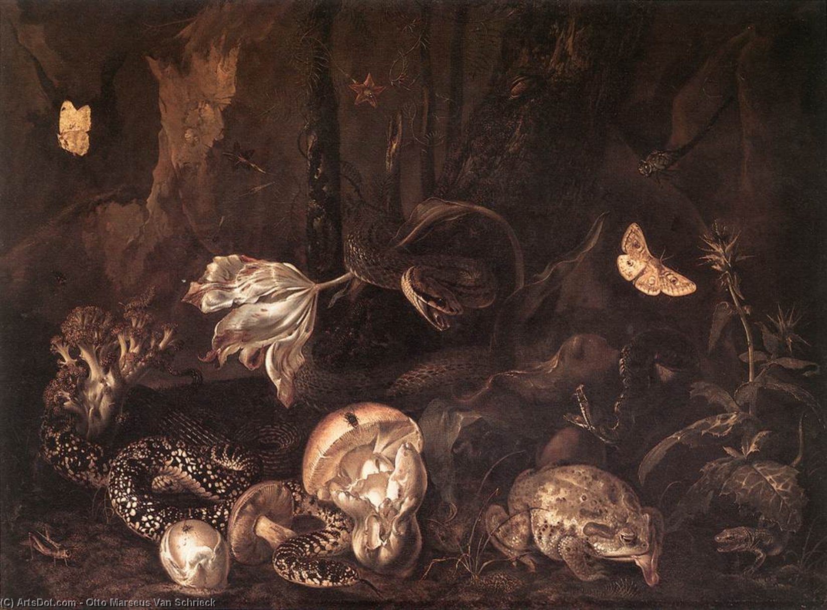 Wikioo.org - The Encyclopedia of Fine Arts - Painting, Artwork by Otto Marseus Van Schrieck - Still-Life with Insects and Amphibians
