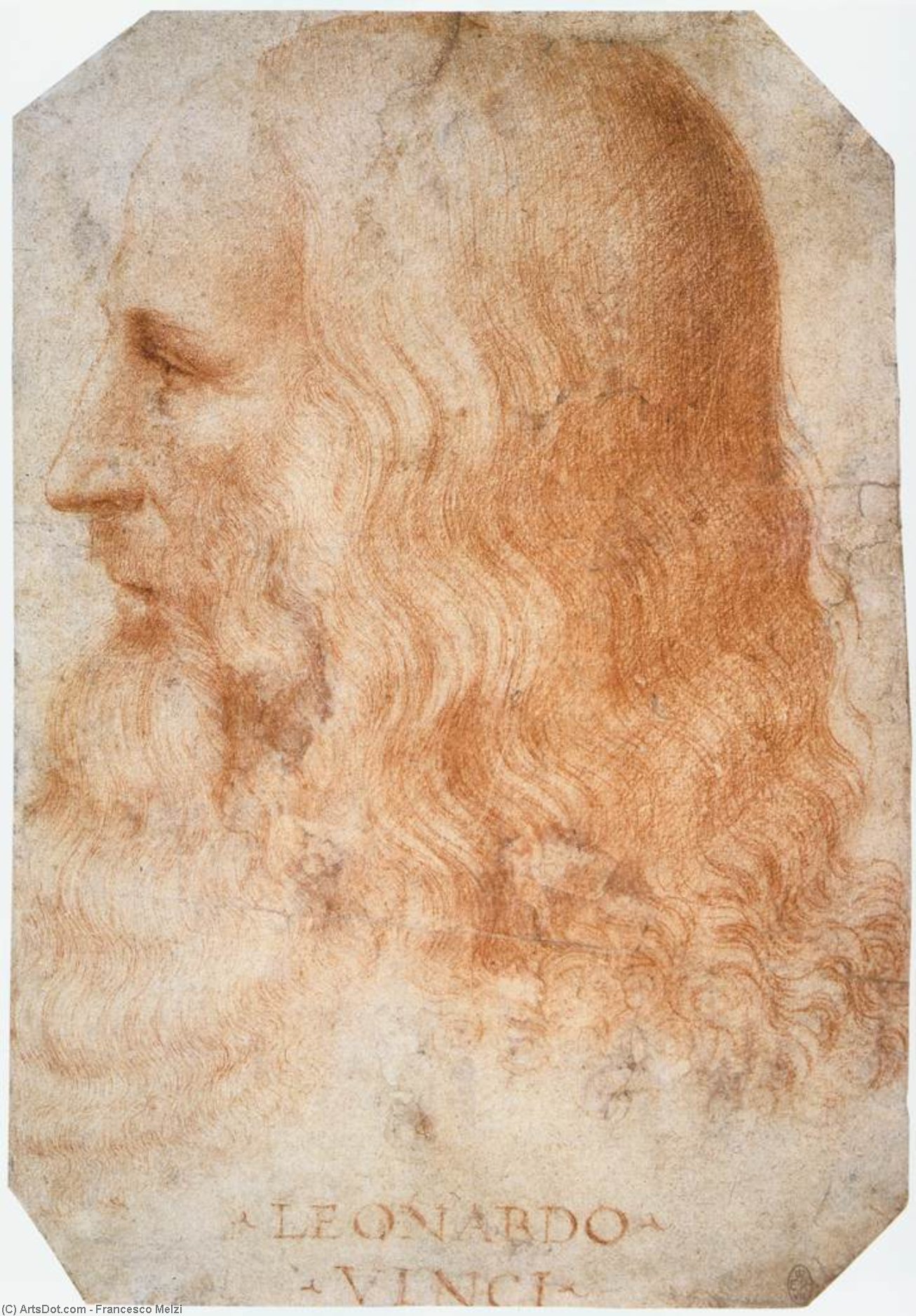 WikiOO.org - Enciclopédia das Belas Artes - Pintura, Arte por Francesco Melzi - Portrait of Leonardo