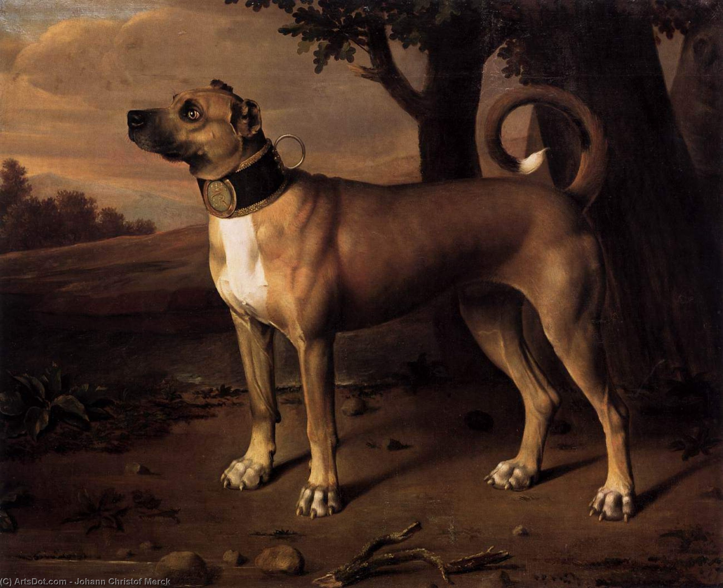 WikiOO.org – 美術百科全書 - 繪畫，作品 Johann Christof Merck - 乌尔姆dogge