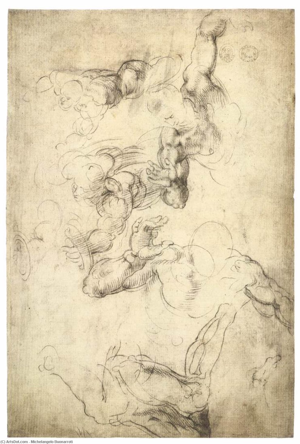 WikiOO.org - 百科事典 - 絵画、アートワーク Michelangelo Buonarroti - バスト の  若い  男  右ページ