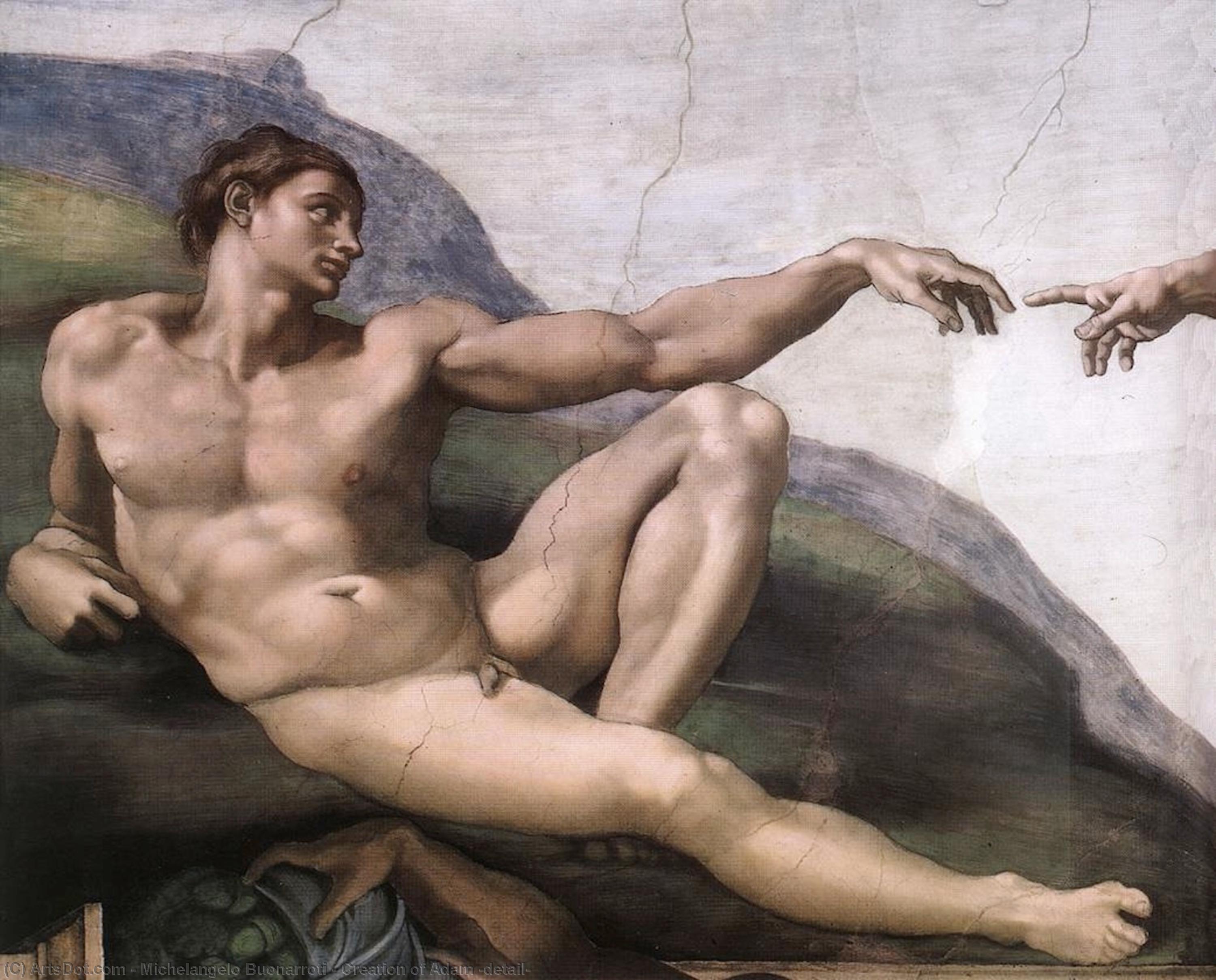 Wikioo.org - Bách khoa toàn thư về mỹ thuật - Vẽ tranh, Tác phẩm nghệ thuật Michelangelo Buonarroti - Creation of Adam (detail)