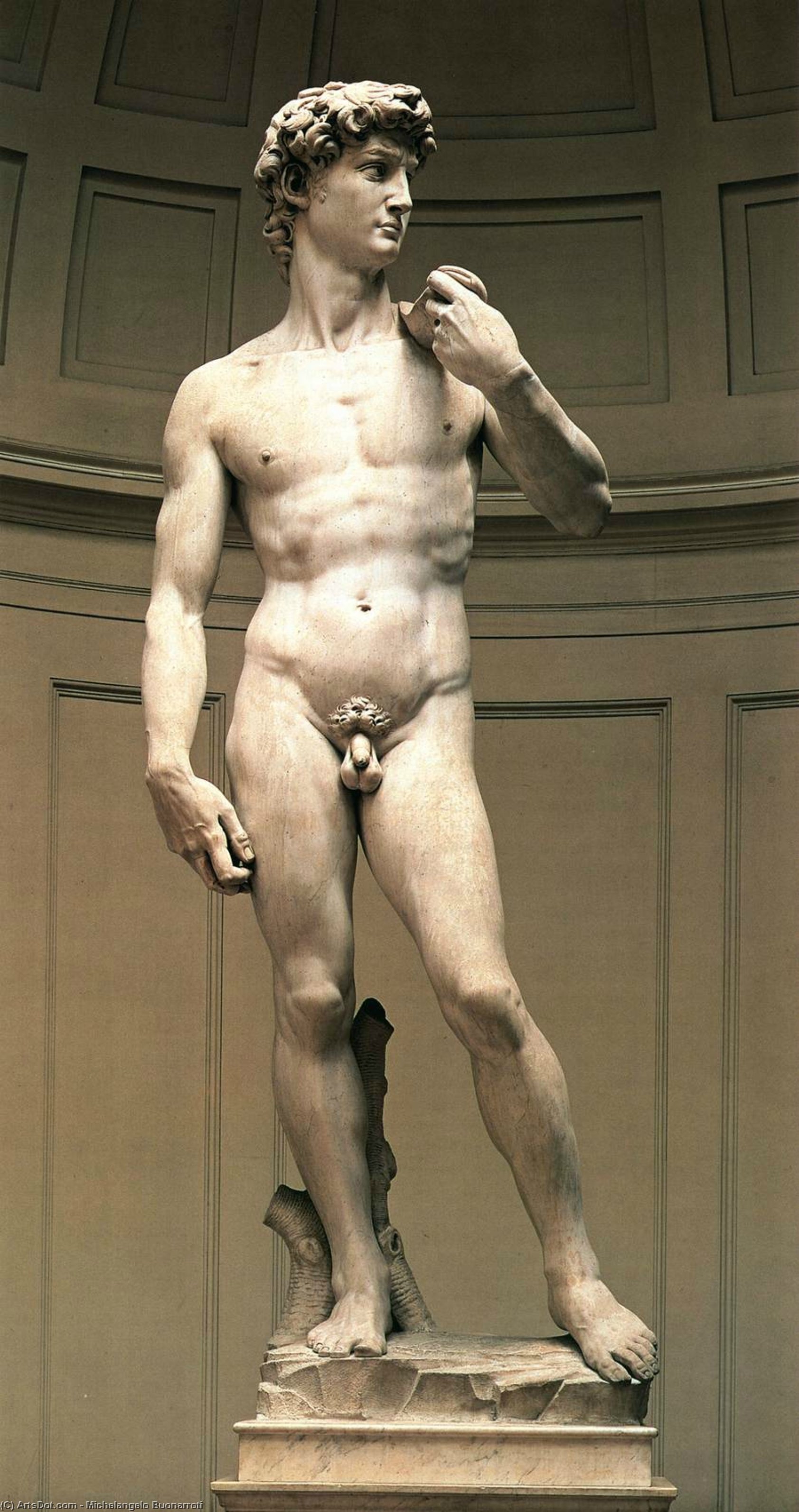 Wikioo.org – L'Enciclopedia delle Belle Arti - Pittura, Opere di Michelangelo Buonarroti - David
