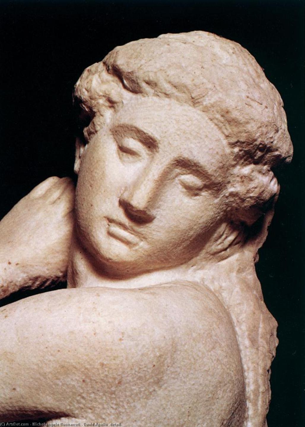 Wikioo.org - The Encyclopedia of Fine Arts - Painting, Artwork by Michelangelo Buonarroti - David/Apollo (detail)