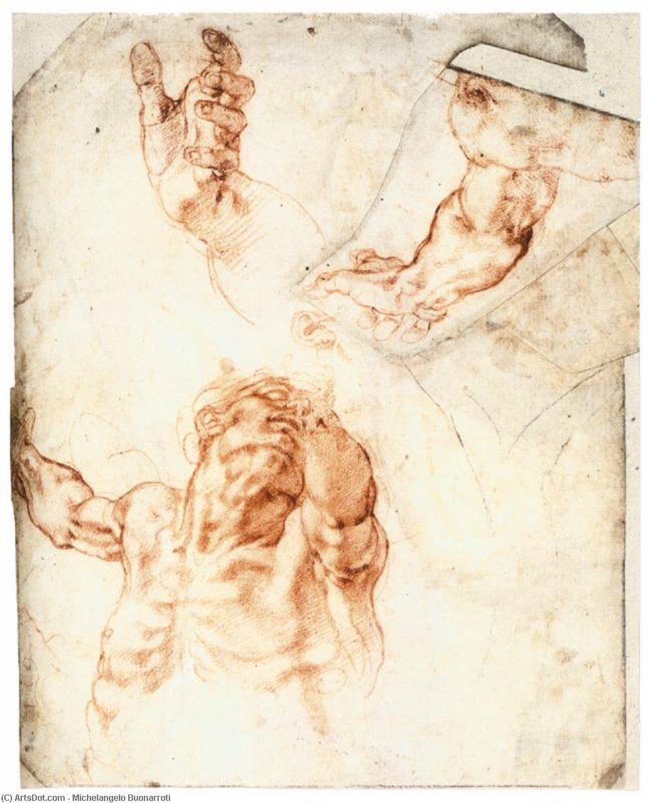 WikiOO.org - Enciklopedija dailės - Tapyba, meno kuriniai Michelangelo Buonarroti - Five Studies for the Figure of Haman (recto)