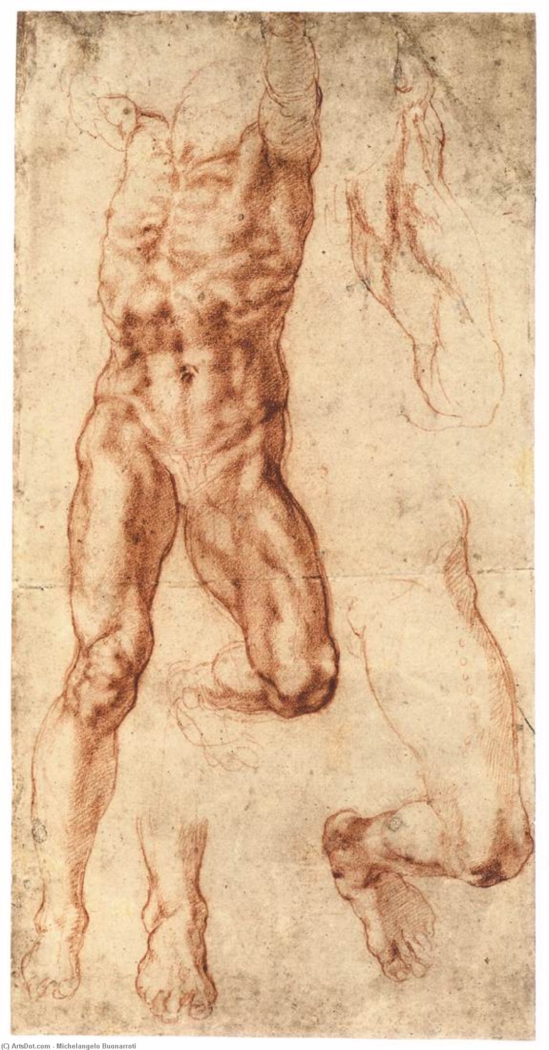 Wikioo.org - The Encyclopedia of Fine Arts - Painting, Artwork by Michelangelo Buonarroti - Four Studies for the Crucified Haman (recto)