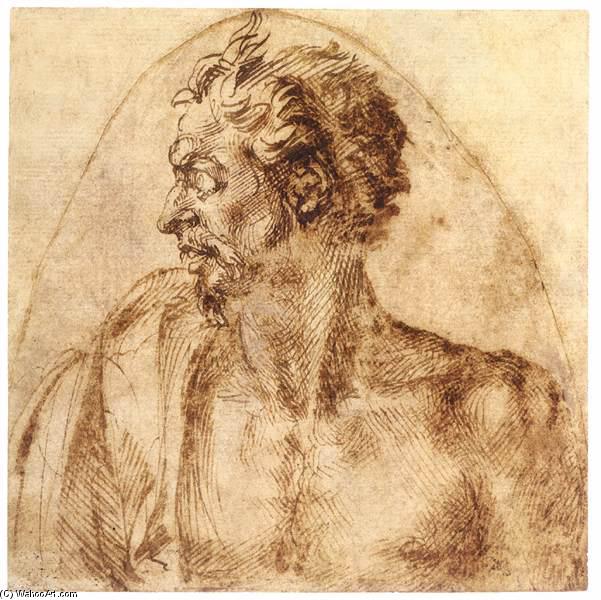 WikiOO.org - Encyclopedia of Fine Arts - Maleri, Artwork Michelangelo Buonarroti - Head of a Satyr