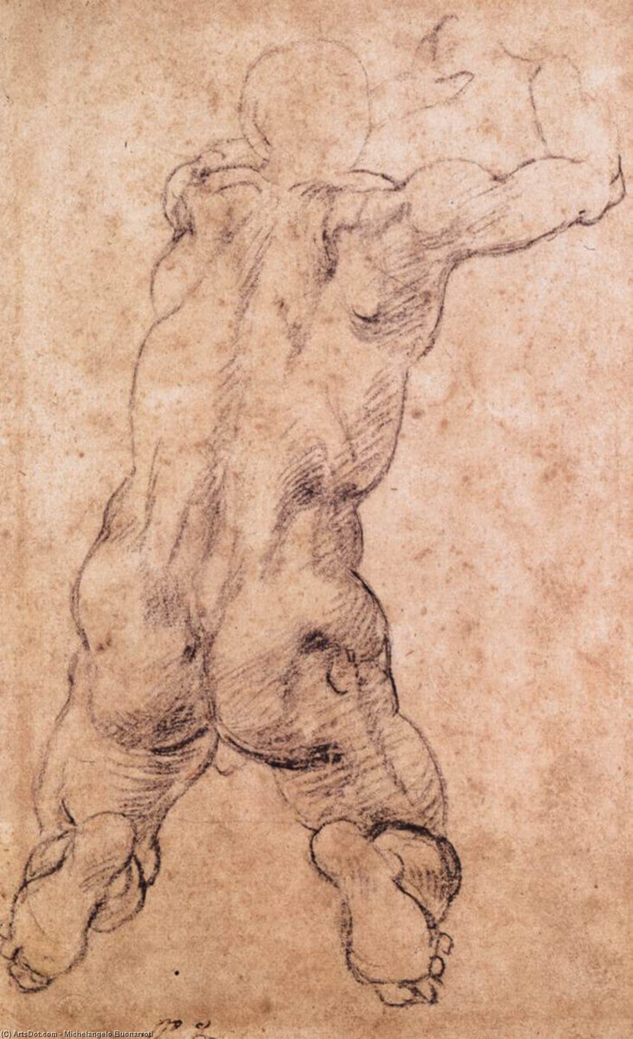 Wikioo.org - The Encyclopedia of Fine Arts - Painting, Artwork by Michelangelo Buonarroti - Kneeling Male Nude