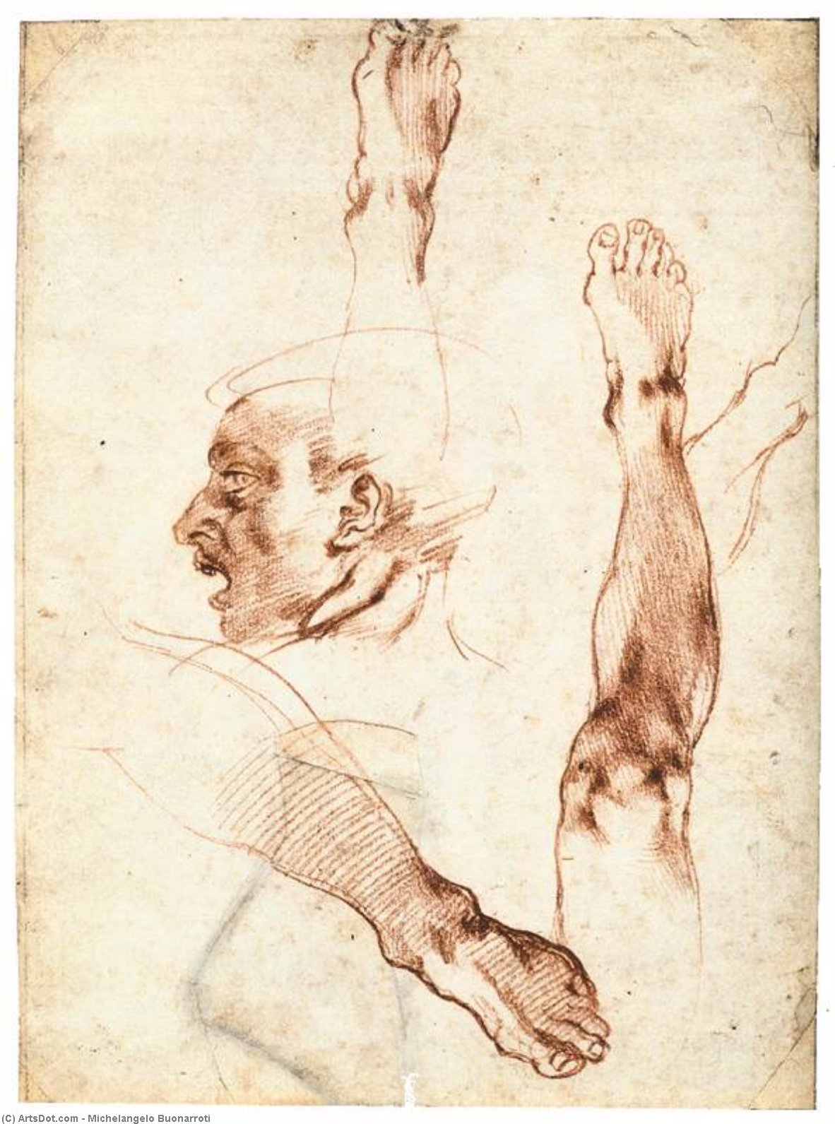 WikiOO.org - Encyclopedia of Fine Arts - Lukisan, Artwork Michelangelo Buonarroti - Male Head in Profile and Leg Studies (recto)