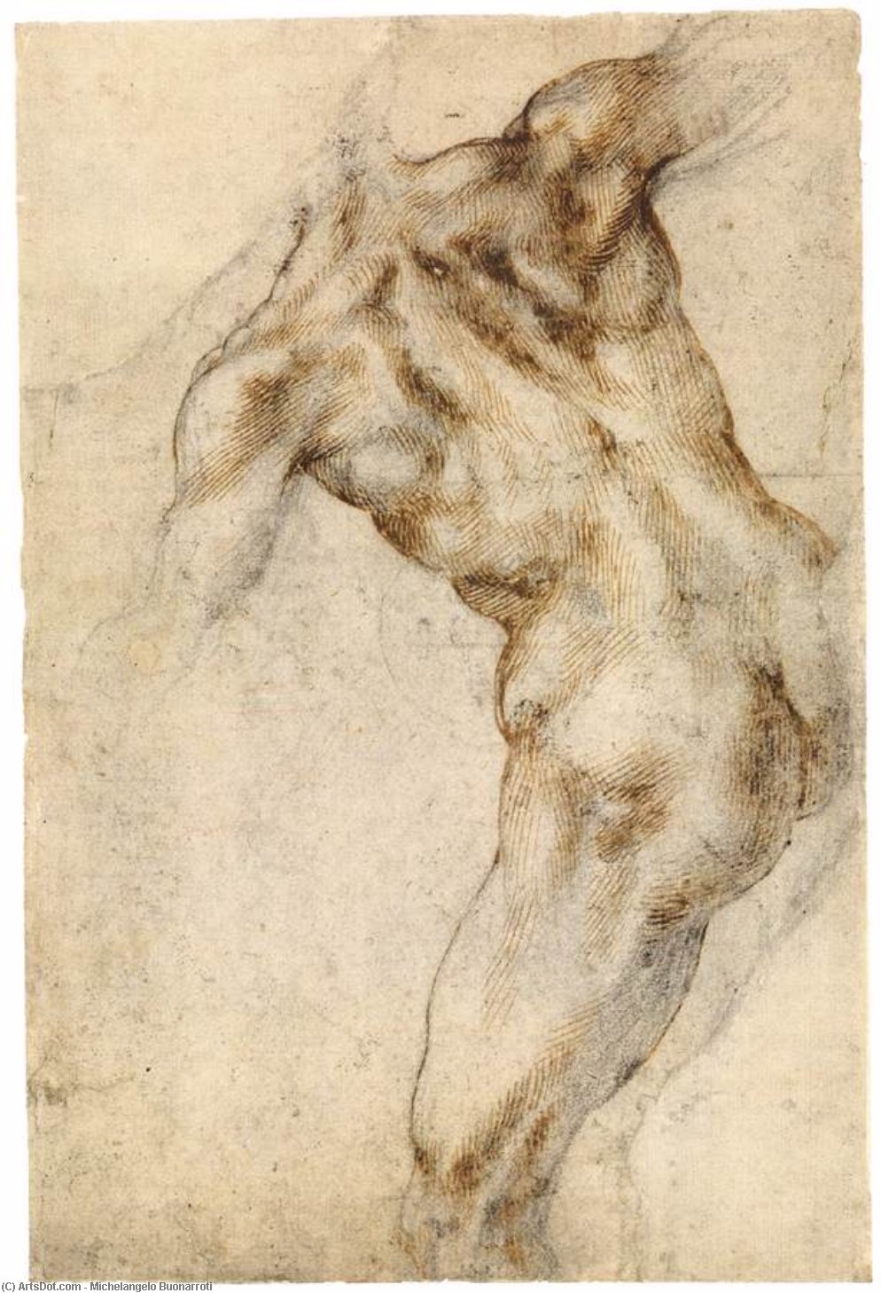 WikiOO.org - Encyclopedia of Fine Arts - Lukisan, Artwork Michelangelo Buonarroti - Male Nude, Seen from the Rear (recto)