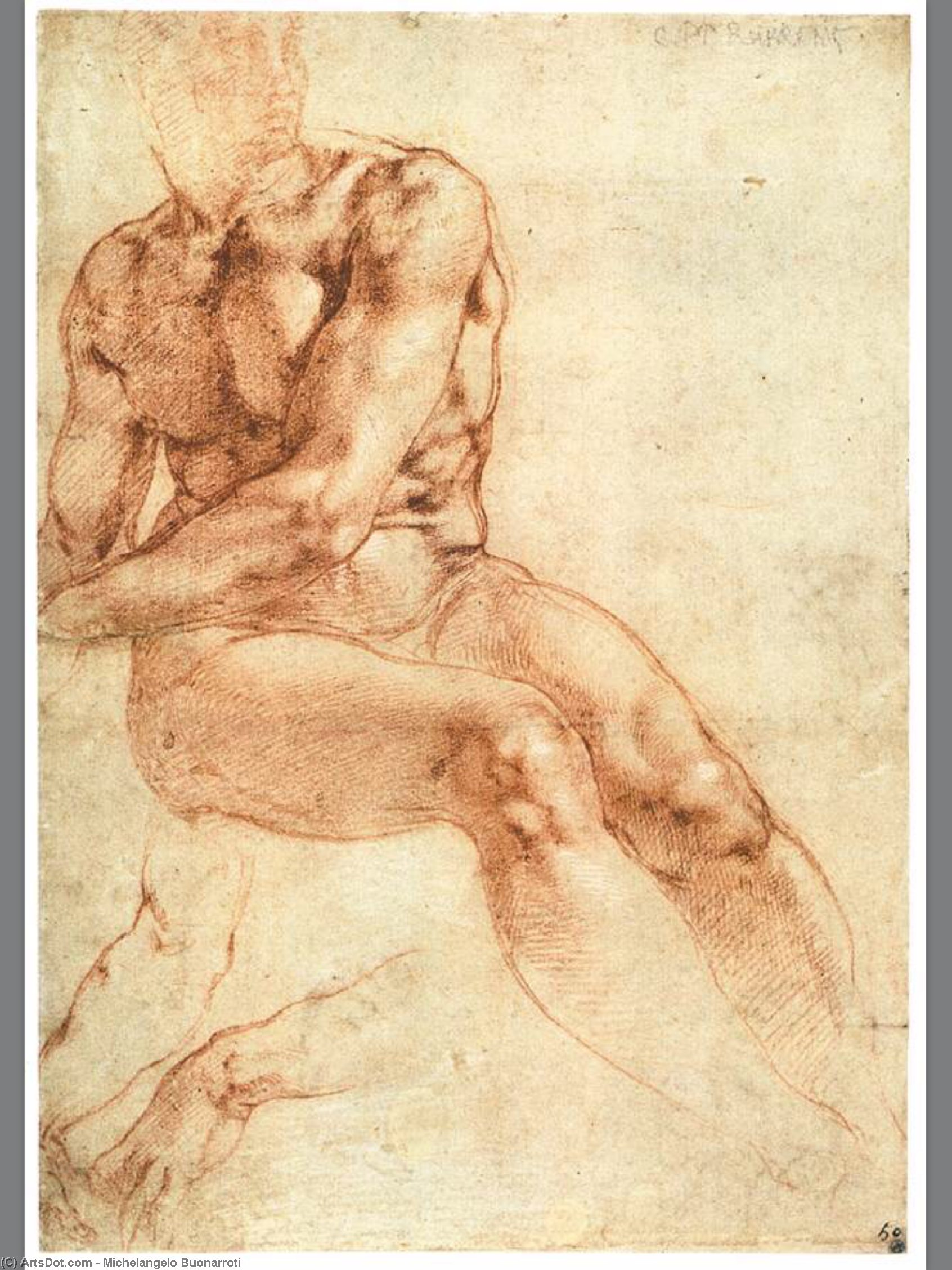 Wikioo.org - The Encyclopedia of Fine Arts - Painting, Artwork by Michelangelo Buonarroti - Nude Study of a Sitting Youth (recto)