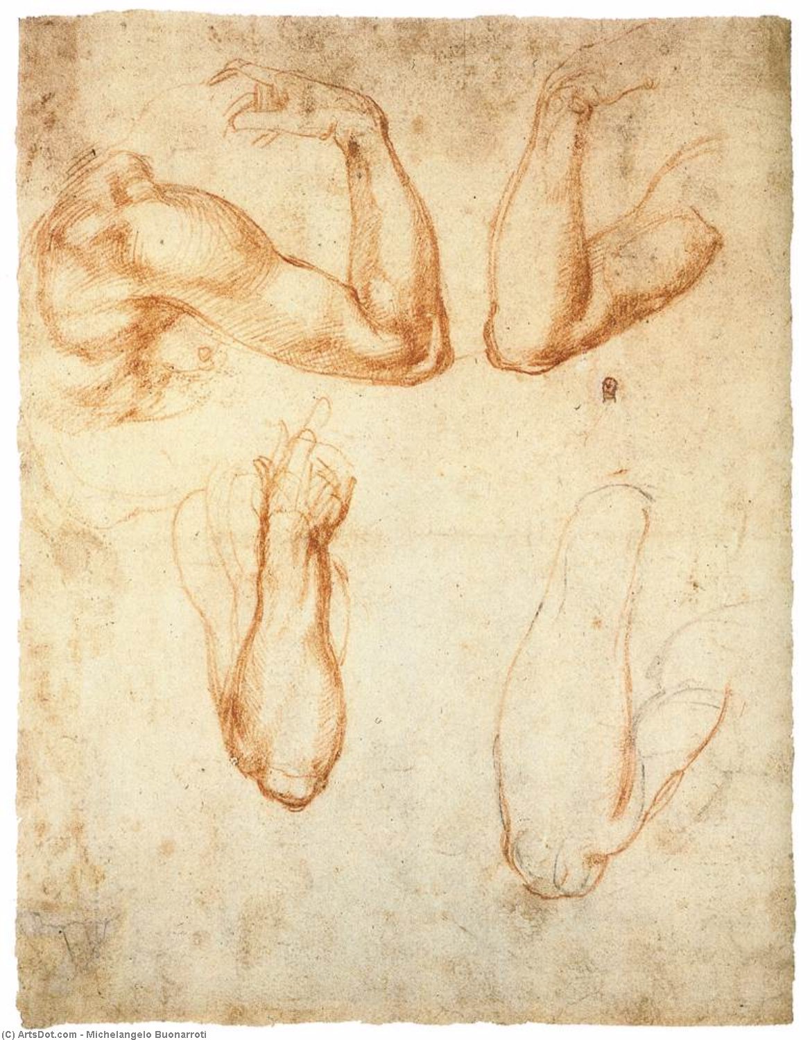 WikiOO.org - Encyclopedia of Fine Arts - Lukisan, Artwork Michelangelo Buonarroti - Portrait of a Woman (verso)