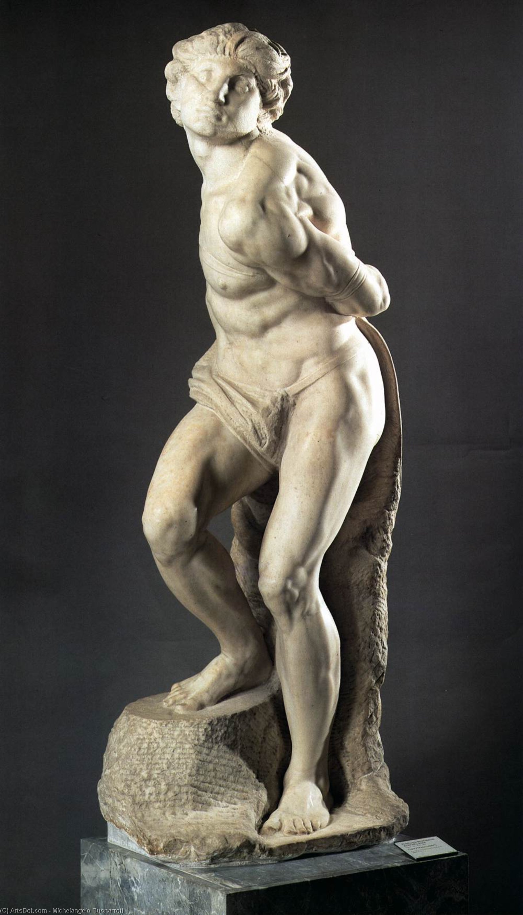 Wikioo.org - The Encyclopedia of Fine Arts - Painting, Artwork by Michelangelo Buonarroti - Slave (rebelling)